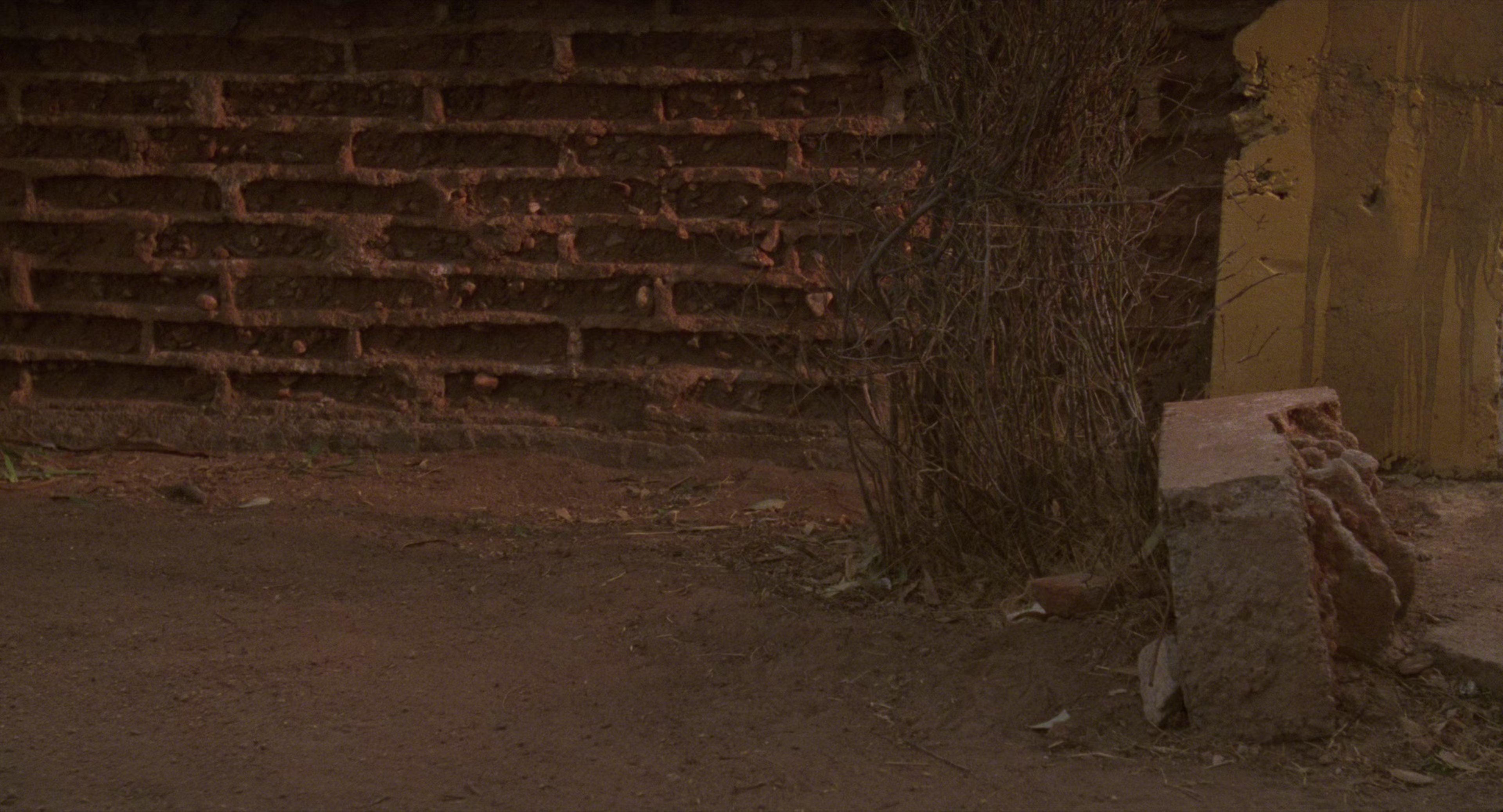 深深的腥红 [简繁英字幕].Deep.Crimson.1996.2160p.UHD.BluRay.x265.10bit.DTS-HD.MA2.0-ParkHD 24.50GB-6.png