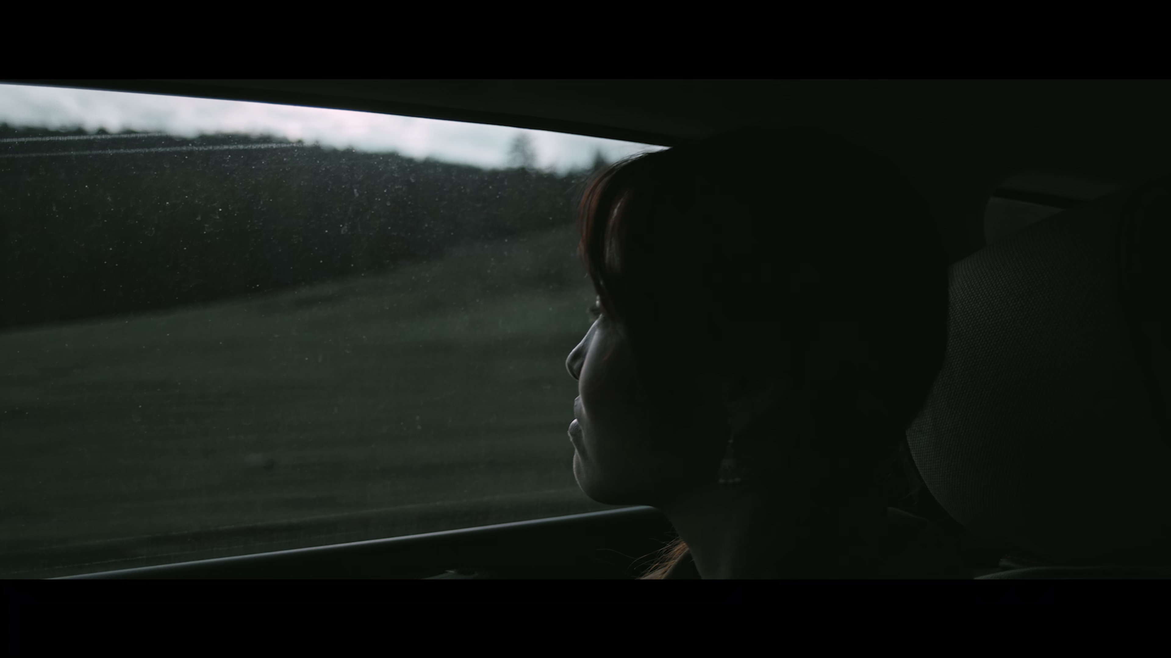 阿勒泰之歌 [国语配音/中文字幕].Altay.2025.2160p.WEB-DL.H265.DDP5.1.Atmos-QuickIO 5.24GB-2.png