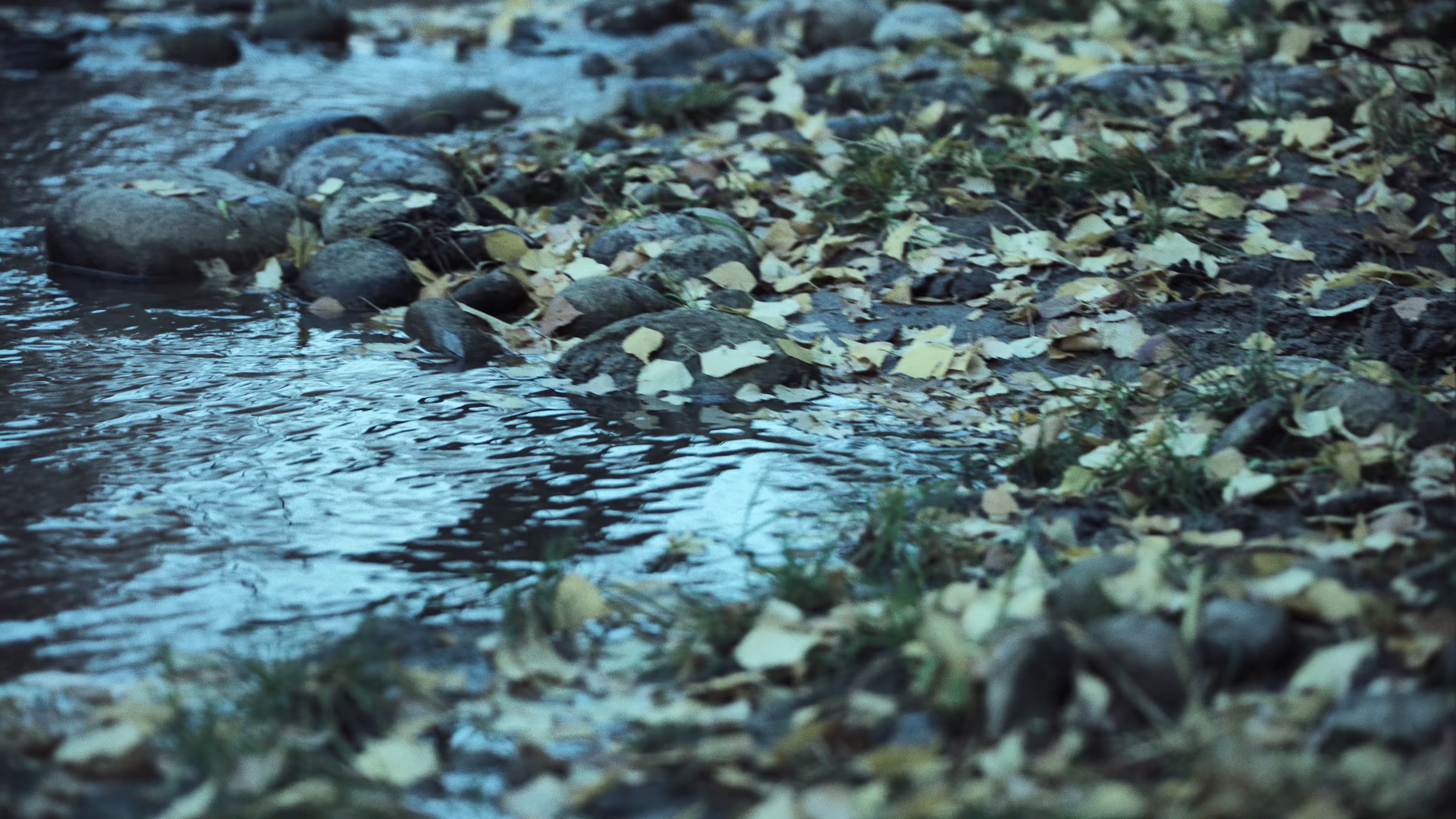 阿勒泰之歌 [国语配音/中文字幕].Altay.2025.2160p.WEB-DL.H265.DDP5.1.Atmos-QuickIO 5.24GB-3.png