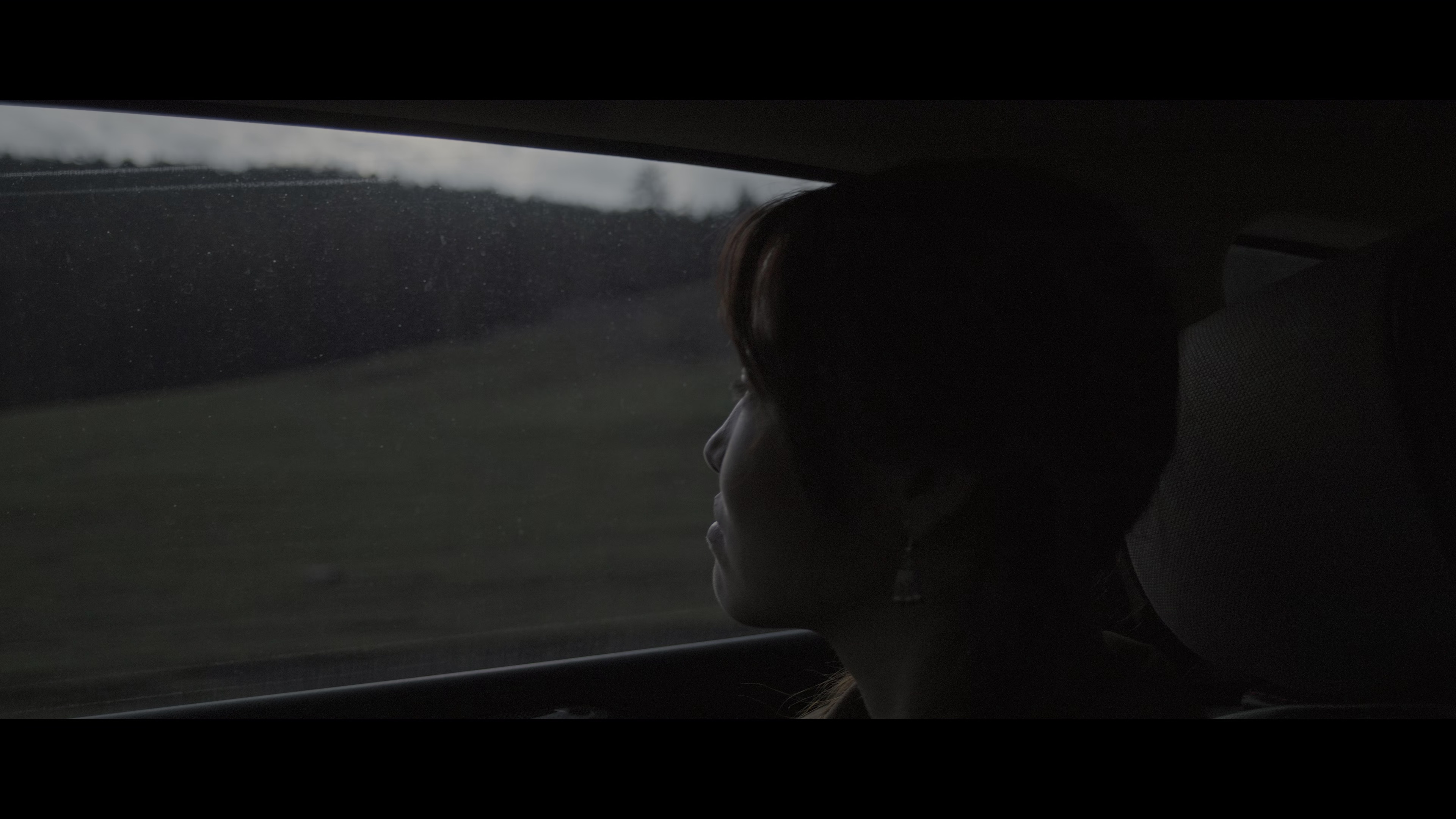 阿勒泰之歌 [国语配音/中文字幕].Altay.2025.2160p.WEB-DL.H265.HDR.DDP5.1.Atmos-QuickIO 9.60GB-2.png