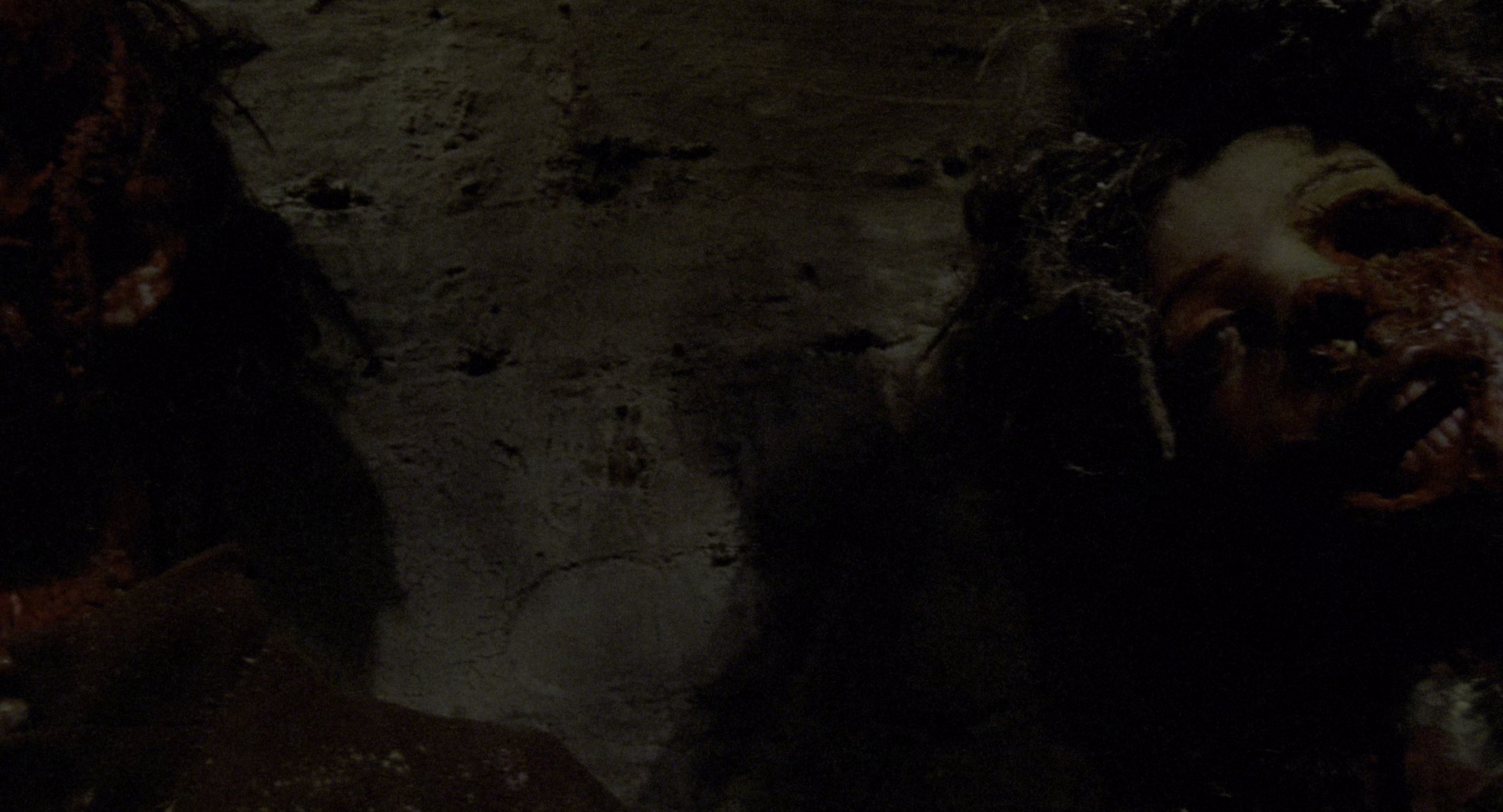 生肉 [HDR/杜比视界双版本][简繁英字幕].Raw.Meat.1972.2160p.UHD.BluRay.DV.x265.10bit.TrueHD.7.1.Atmos-ParkHD 17.29GB-3.png