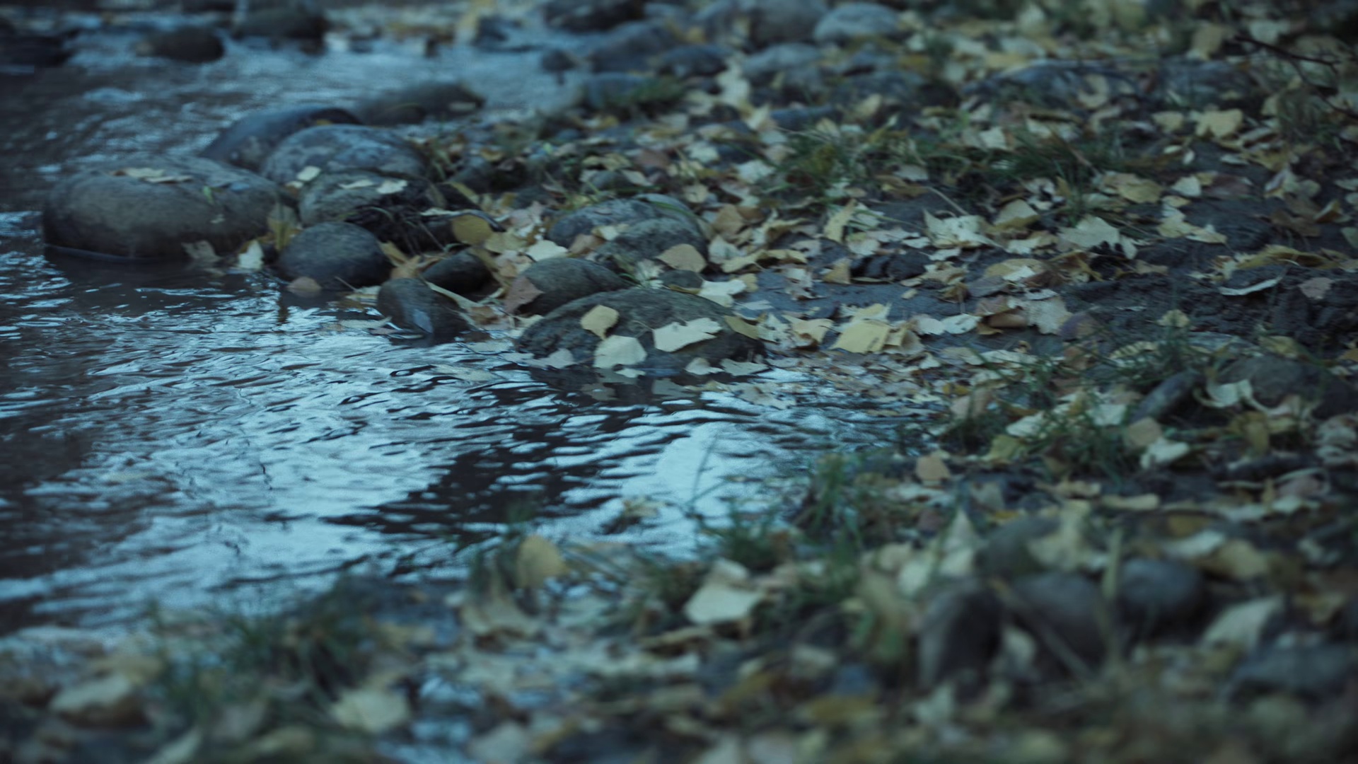 阿勒泰之歌 [国语音轨].Altay.2025.1080p.WEB-DL.H265.AAC-DreamHD 2.63GB-3.png