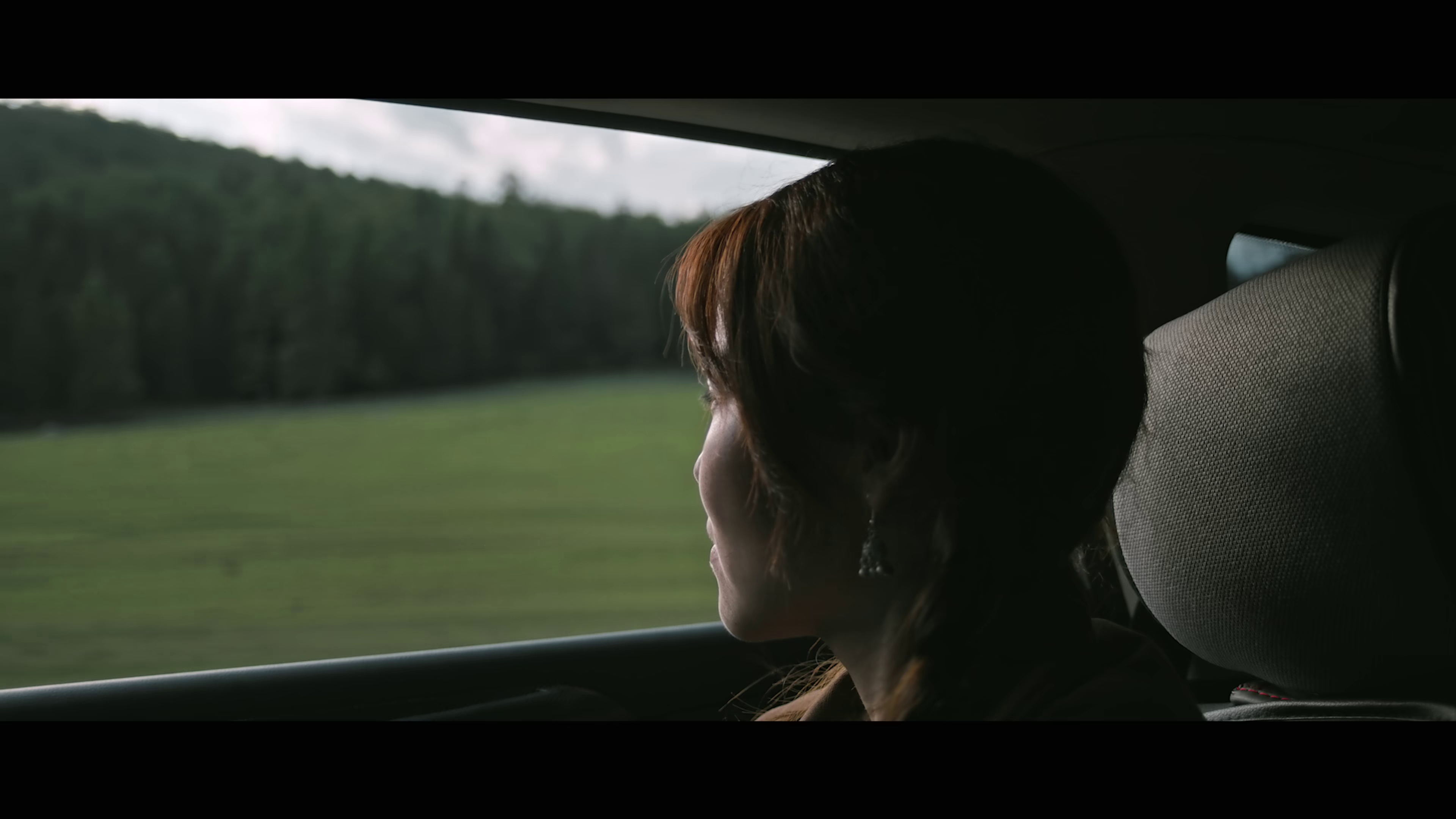 阿勒泰之歌 [国语音轨].Altay.2025.2160p.WEB-DL.H265.DDP5.1.Atmos-DreamHD 5.08GB-2.png