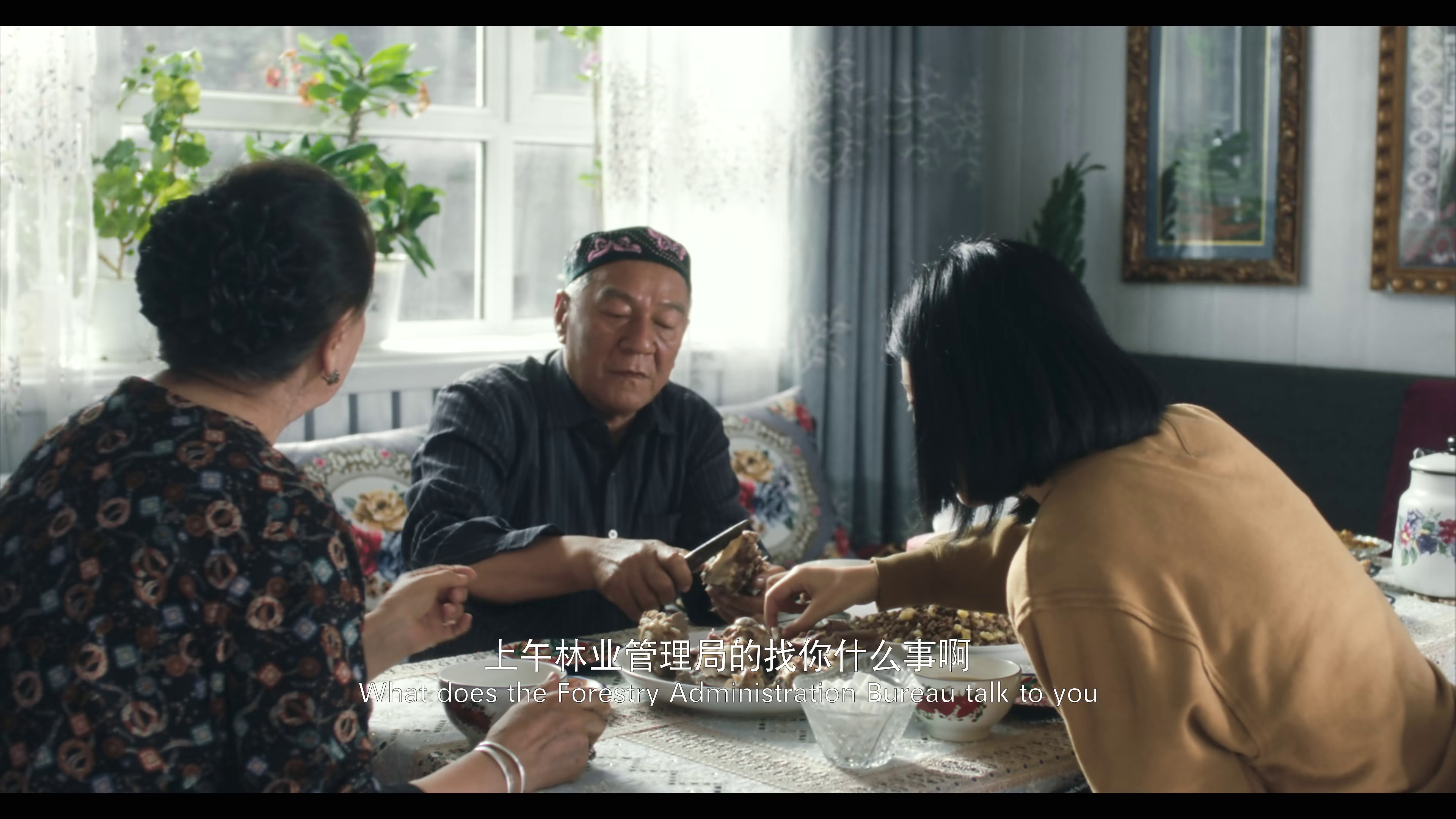 阿勒泰之歌 [国语音轨].Altay.2025.2160p.WEB-DL.H265.DDP5.1.Atmos-DreamHD 5.08GB-4.png