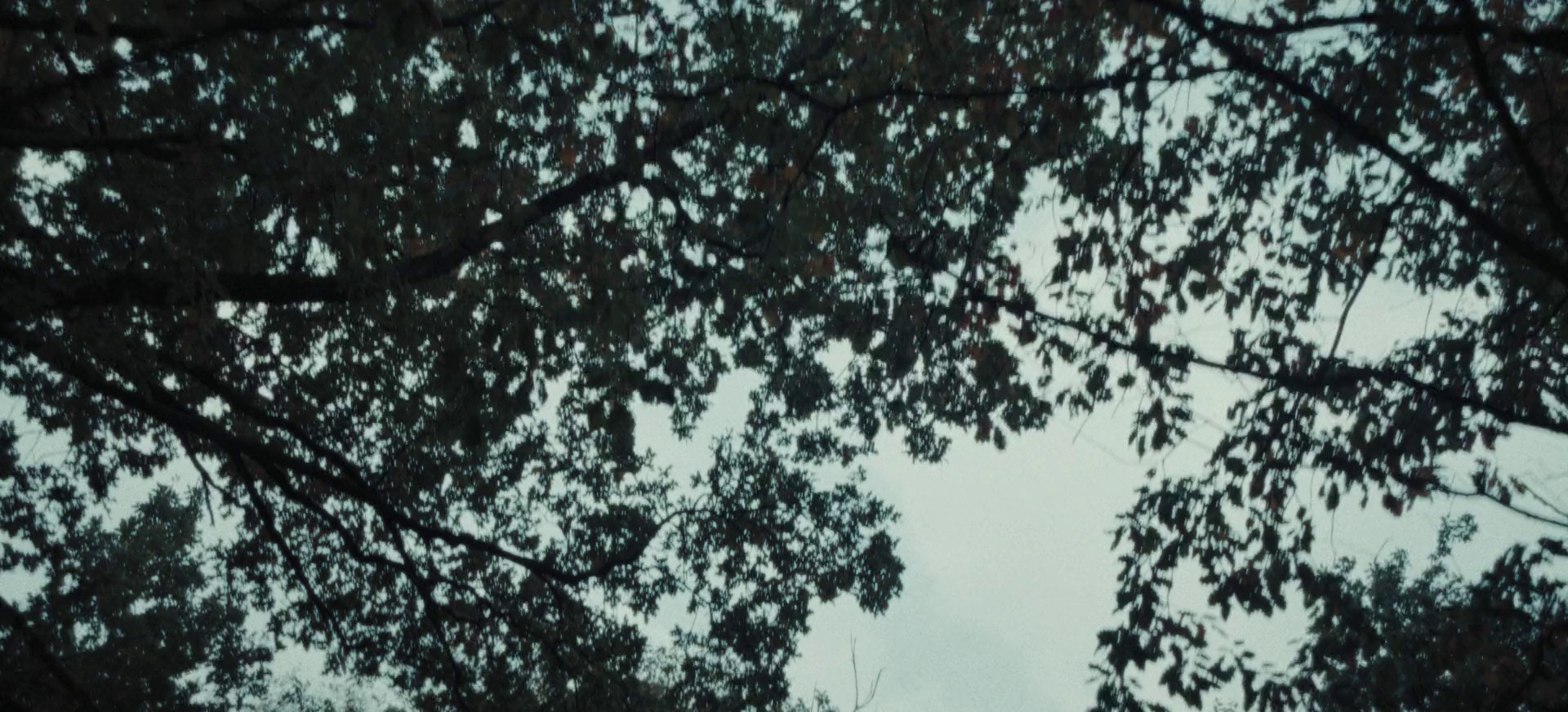 猛虎末路 [简繁英字幕].The.Tank.2025.2160p.AMZN.WEB-DL.HDR.H.265.DDP5.1-QuickIO 12.63GB-6.png