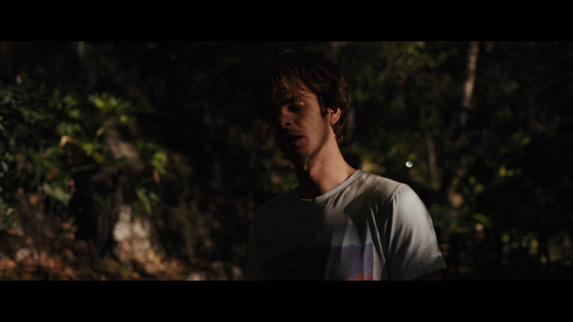 银湖之底 [无字片源].Under.the.Silver.Lake.2018.1080p.NF.WEB-DL.DDP.5.1.H.264-DreamHD 5.44GB-2.png