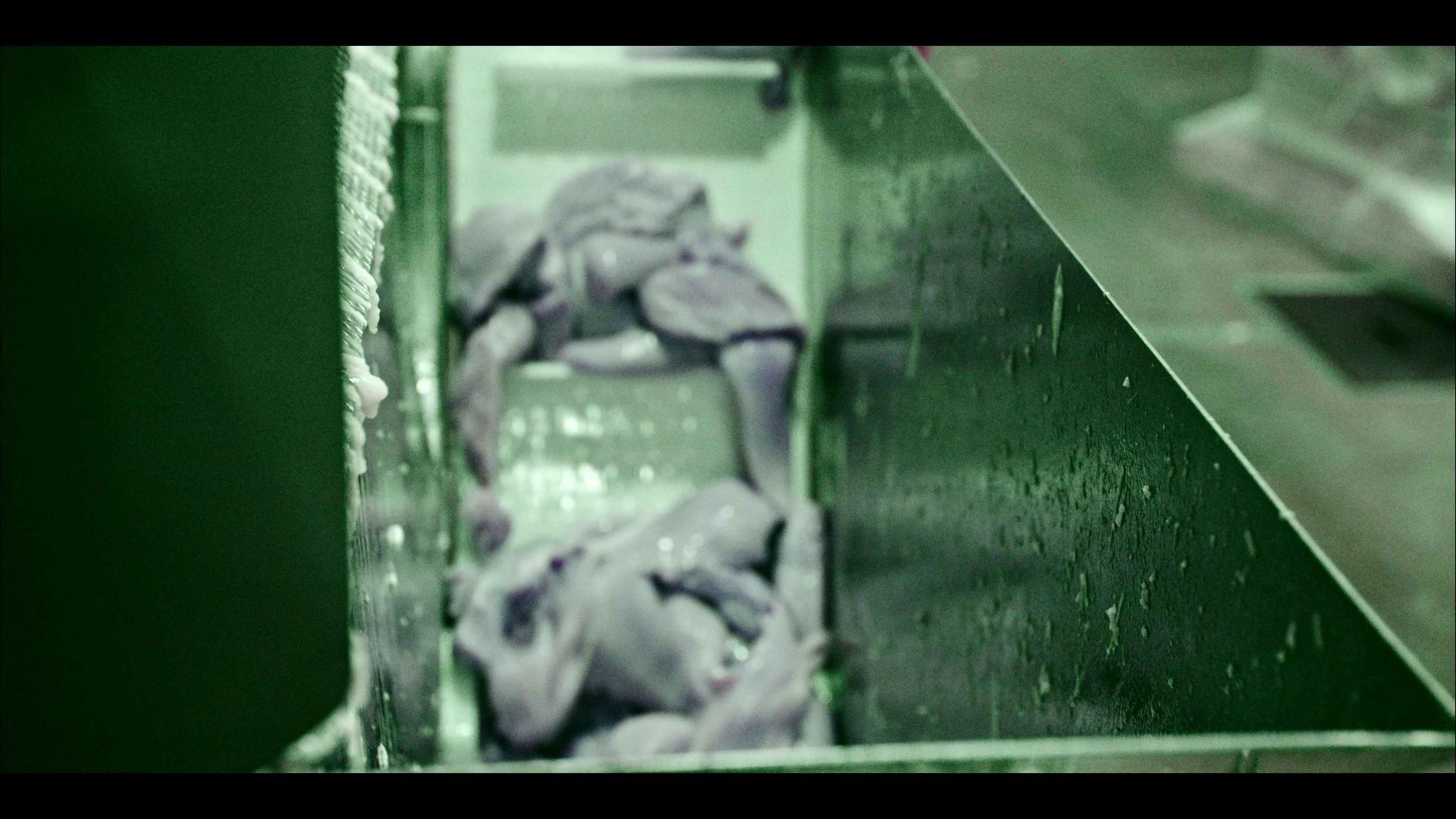 毒从口入：食物的丑陋真相 [杜比视界版本][简繁英字幕].2023.2160p.NF.WEB-DL.DDP5.1.DV.H.265-PandaQT 11.04GB-5.png