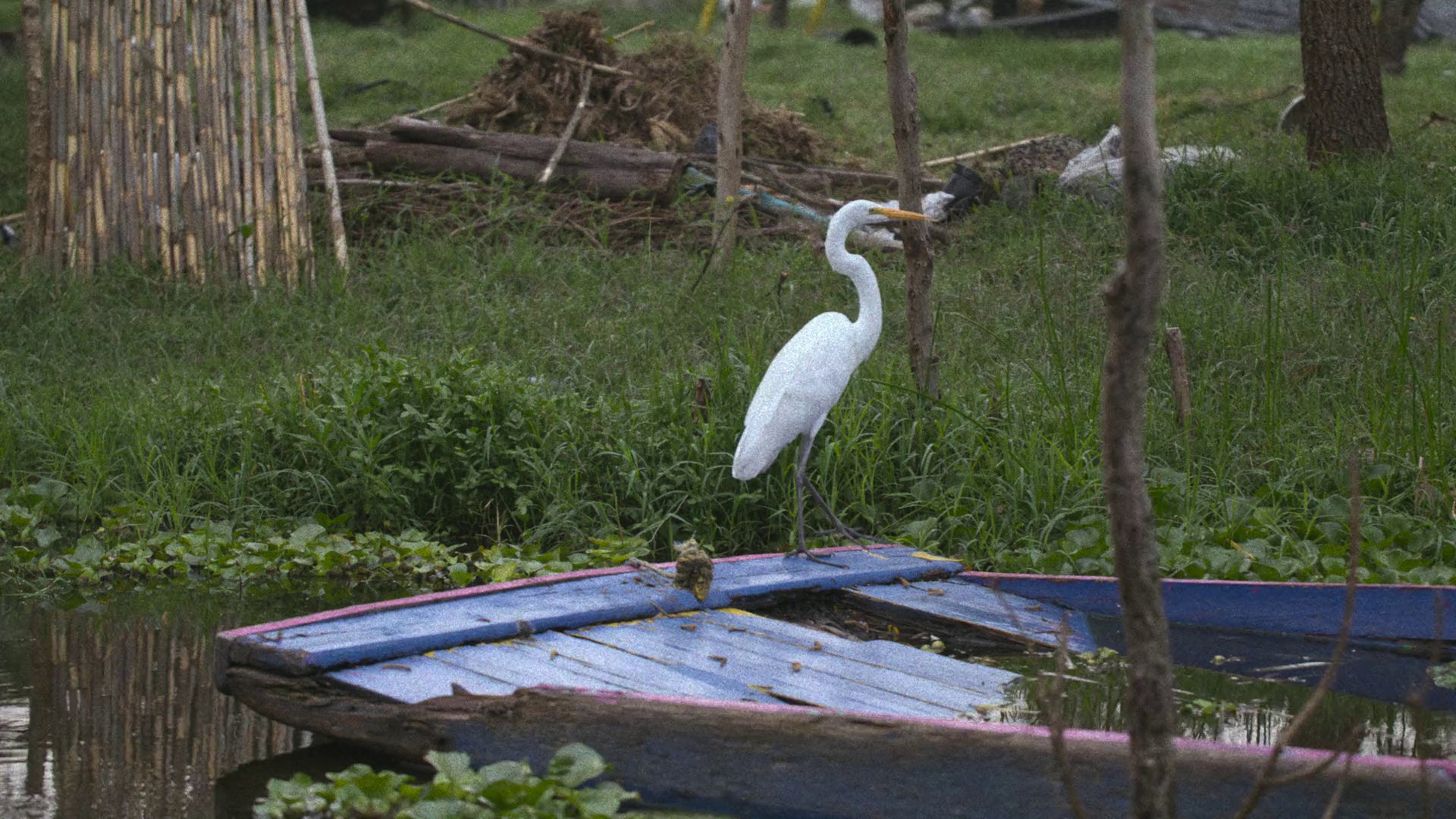 Depeche.Mode.M [中文字幕].Depeche.Mode.M.2025.1080p.NF.WEB-DL.DDP5.1.H264-PandaQT 5.50GB-3.png