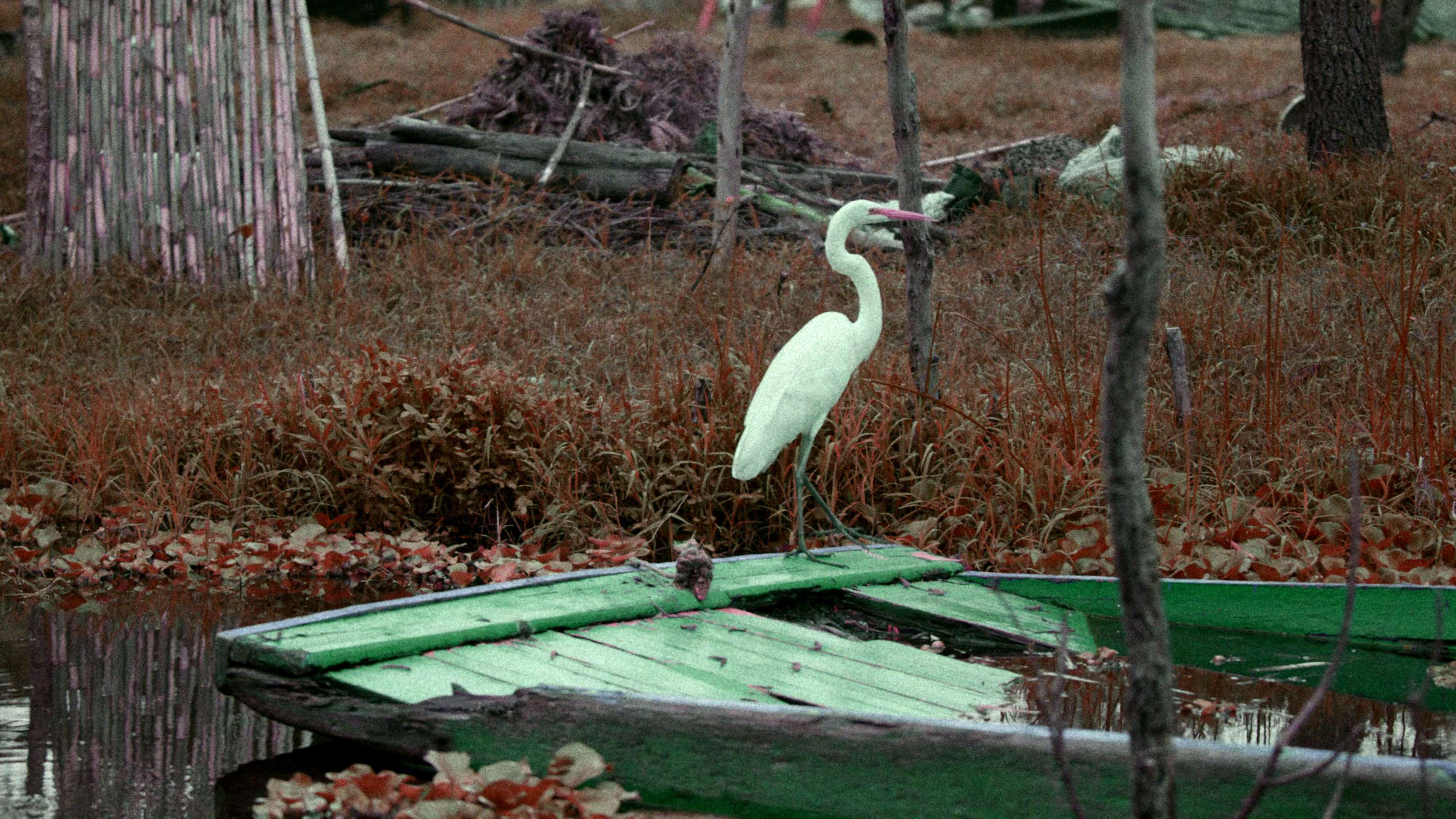 Depeche.Mode.M [无字片源].Depeche.Mode.M.2025.2160p.NF.WEB-DL.DDP.5.1.DV.H.265-DreamHD 13.43GB-3.png