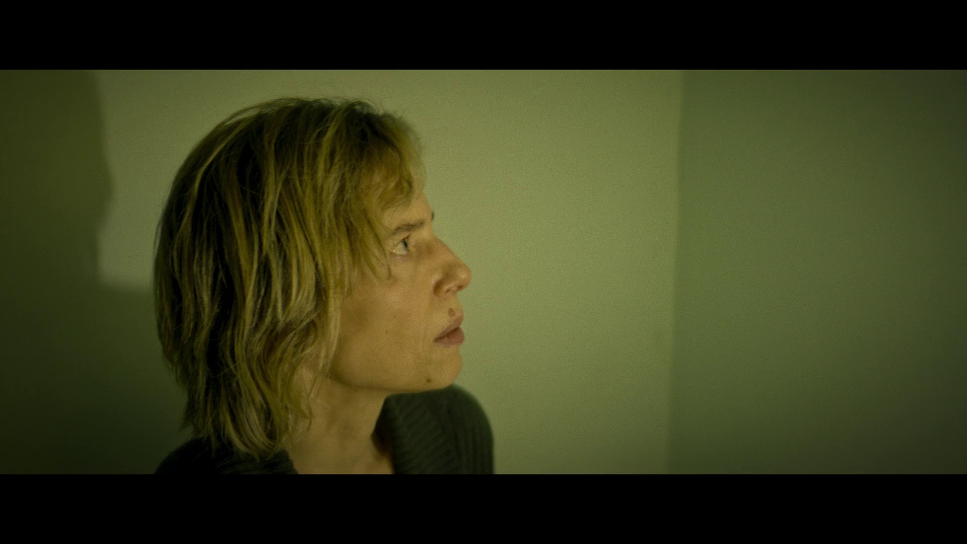 最后一轮谈判 [中文字幕].Il.Nibbio.2025.BluRay.1080p.AAC2.0.x264-DreamHD 3.19GB-4.png