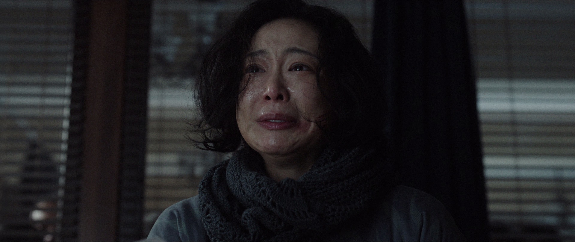 南京照相馆 [国语音轨/简繁字幕].Dead.to.Rights.2025.1080p.BluRay.x265.10bit.TrueHD.7.1-ParkHD 11.96GB-7.png