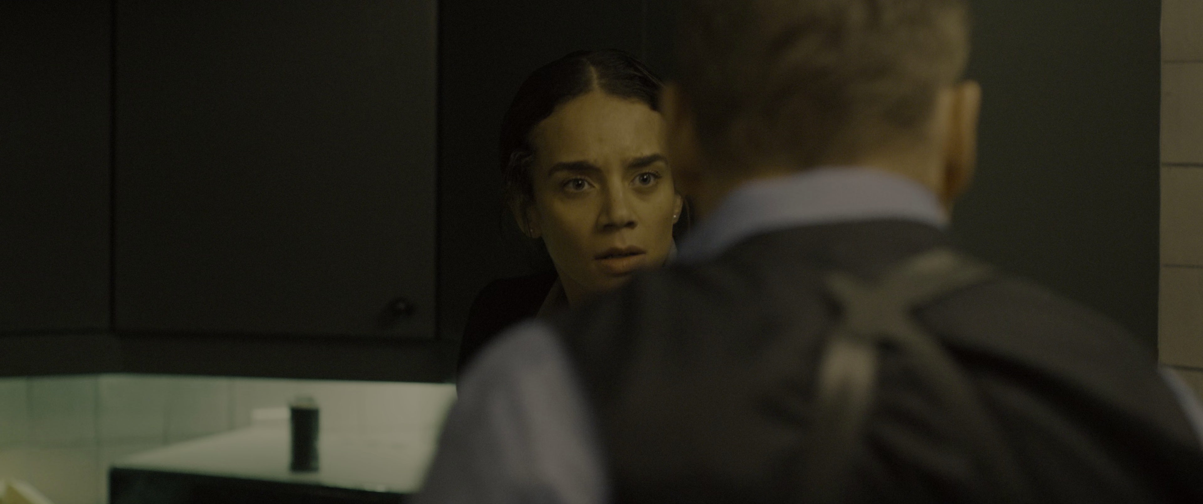 铜斑蛇 [中文字幕].Safe.House.2025.2160p.UHD.BluRay.HDR.x265.10bit.DTS-HD.MA.5.1-ParkHD 16.37GB-5.png