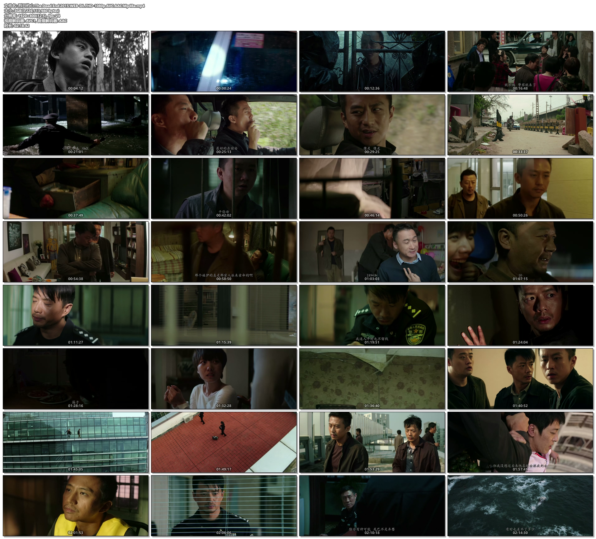 烈日灼心.The.Dead.End.2015.WEB-DL.FHD-1080p.AVC.AAC.Mp4Ba 3.01GB-2.jpg
