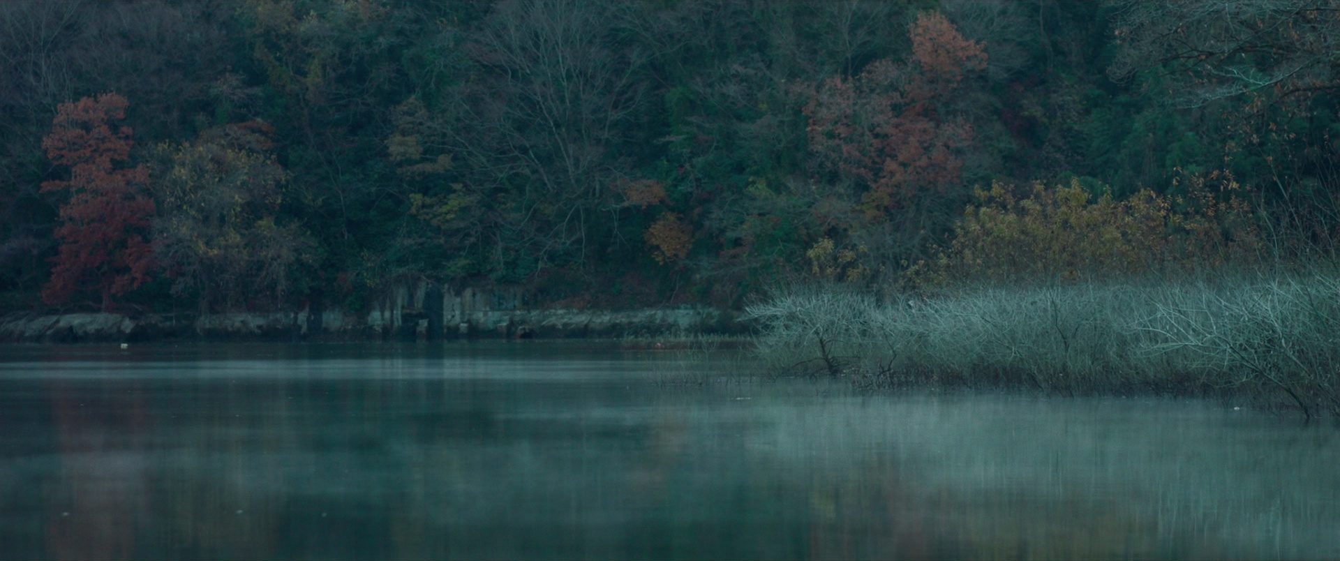 月影 [中文字幕].Moonlight.Shadow.2021.1080p.BluRay.x265.10bit.DTS-QuickIO 5.48GB-6.png