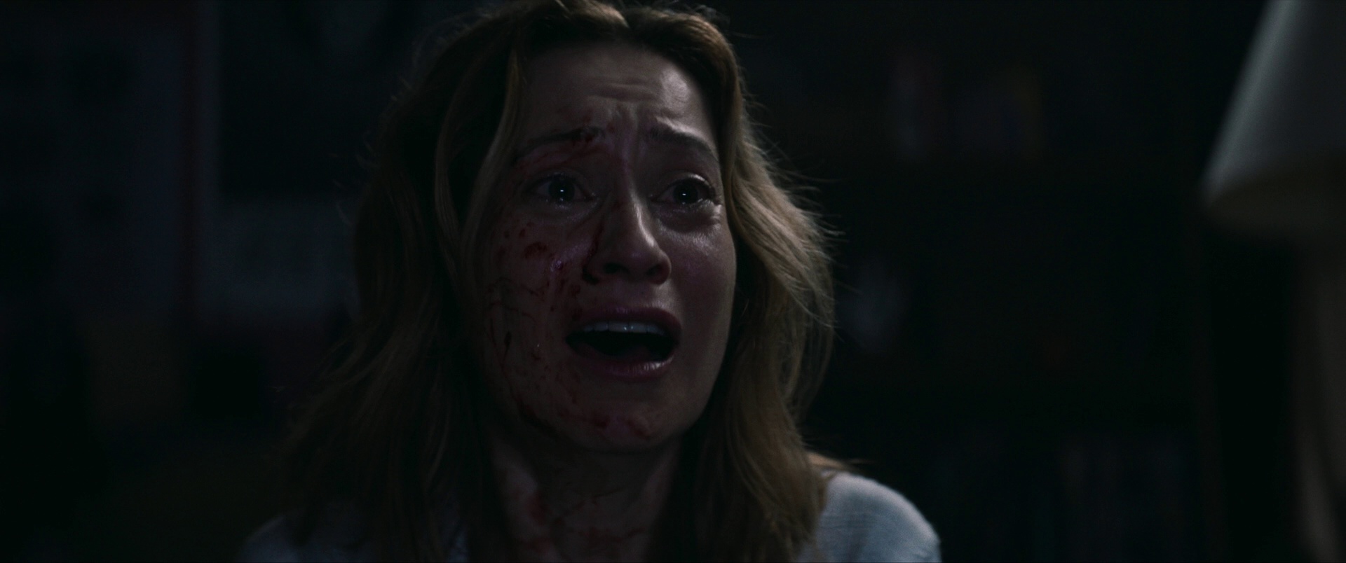 寻踪迷镇 [简繁英字幕].Shelby.Oaks.2024.BluRay.1080p.DTS-HDMA5.1.x265.10bit-DreamHD 6.13GB-3.png