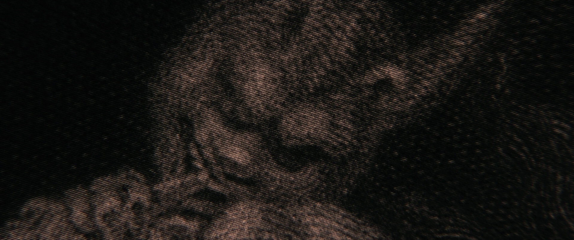 寻踪迷镇 [简繁英字幕].Shelby.Oaks.2024.BluRay.1080p.DTS-HDMA5.1.x265.10bit-DreamHD 6.13GB-4.png