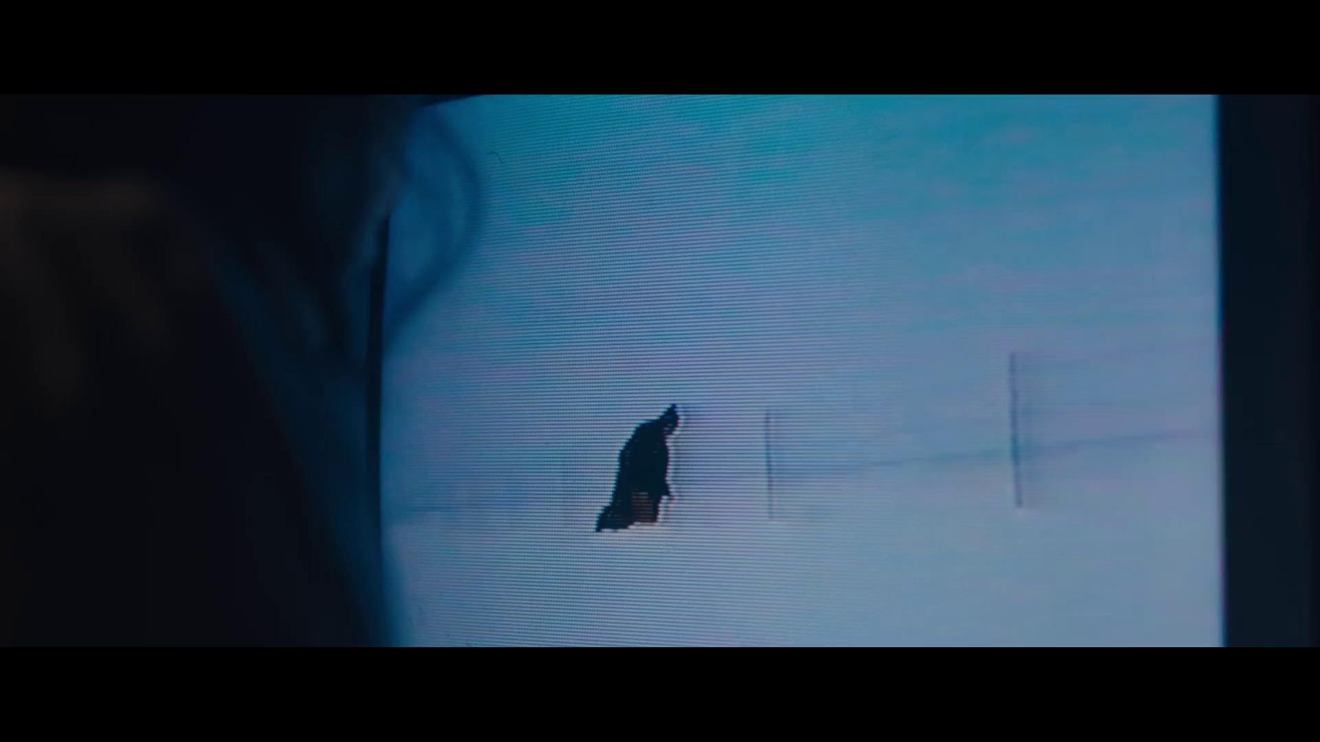 宝藏猎人久美子 [无字片源].Kumiko.the.Treasure.Hunter.2014.1080p.NF.WEB-DL.DDP.5.1.H.264-DreamHD 4.10GB-2.png