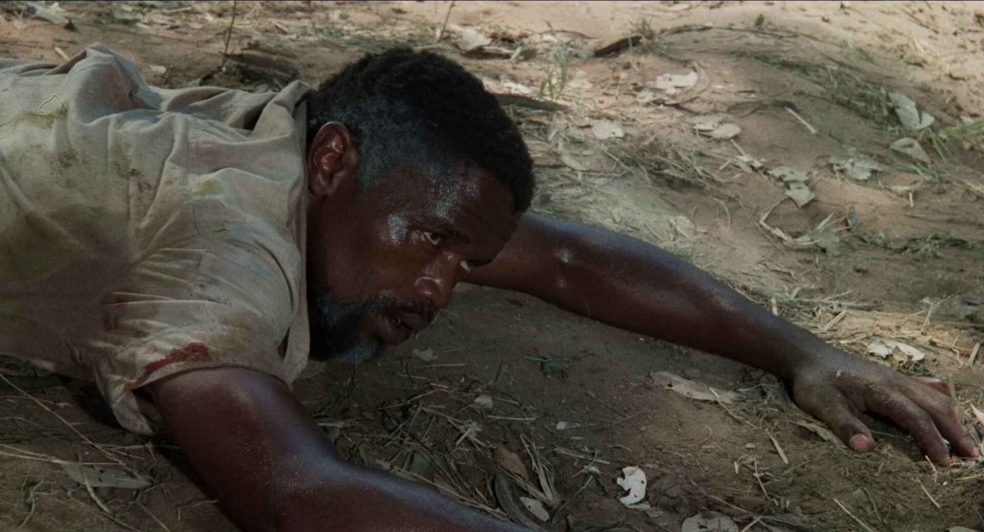 野鹅敢死队 [简繁英字幕].The.Wild.Geese.1978.Bluray.1080p.DTS-HDMA2.0.x265.10bit-DreamHD 9.15GB-6.png