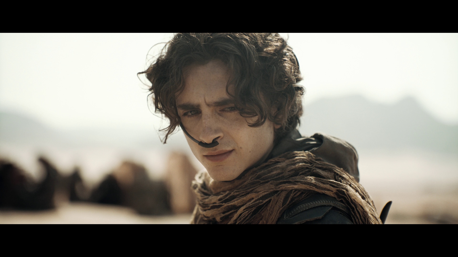 沙丘2 [国英多音轨/简繁英字幕].Dune.Part.Two.2024.1080p.BluRay.REMUX.AVC.TrueHD7.1-DreamHD 28.99GB-2.png