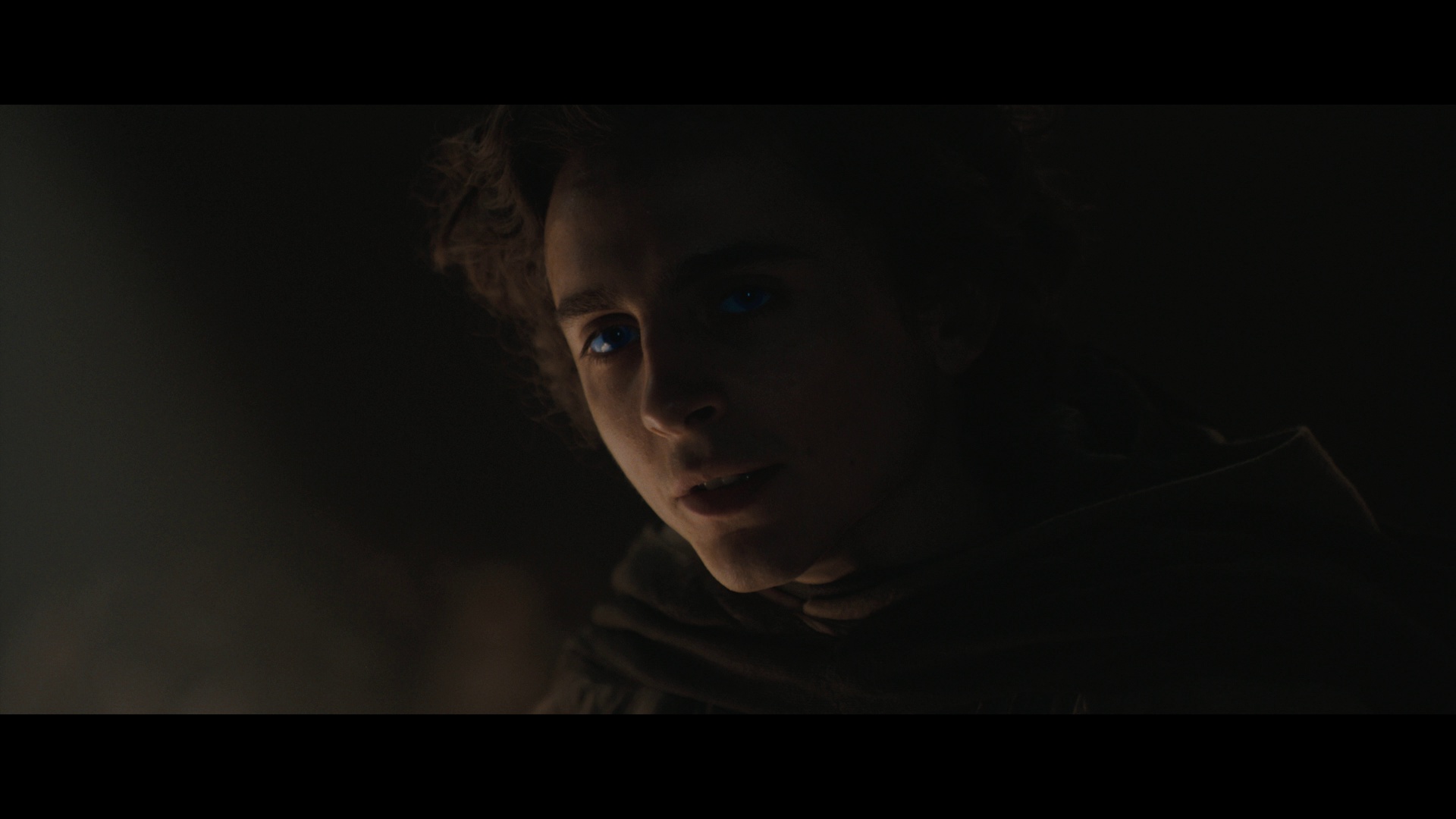 沙丘2 [国英多音轨/简繁英字幕].Dune.Part.Two.2024.1080p.BluRay.REMUX.AVC.TrueHD7.1-DreamHD 28.99GB-6.png