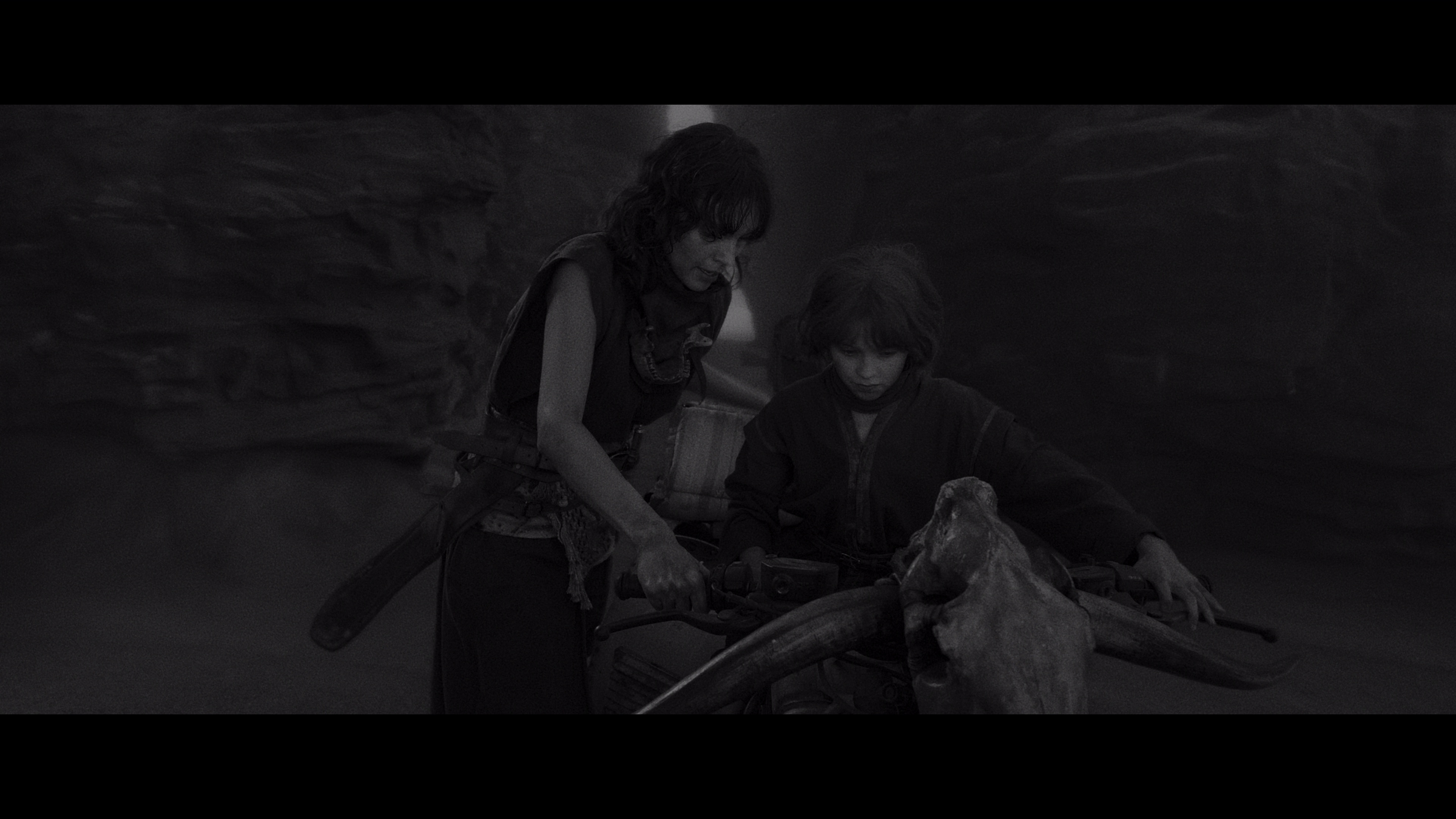 疯狂的麦克斯：狂暴女神 [HDR/杜比视界双版本][国英多音轨/简繁英字幕].2024.Black.and.Chrome.Edition.2160p.UHD.BluRay.REMUX.HEVC.DoVi.HDR.TrueHD7.1-DreamHD 63.85GB-2.png