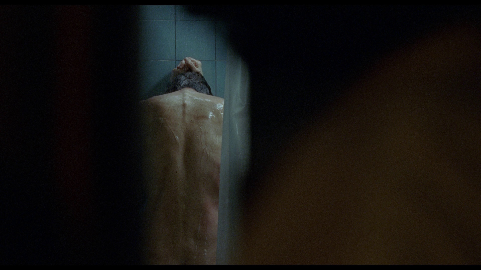 我仍在此 [中文字幕].Im.Still.Here.AKA.Ainda.Estou.Aqui.2024.1080p.BluRay.REMUX.AVC.DTS-HDMA5.1-DreamHD 36.43GB-4.png