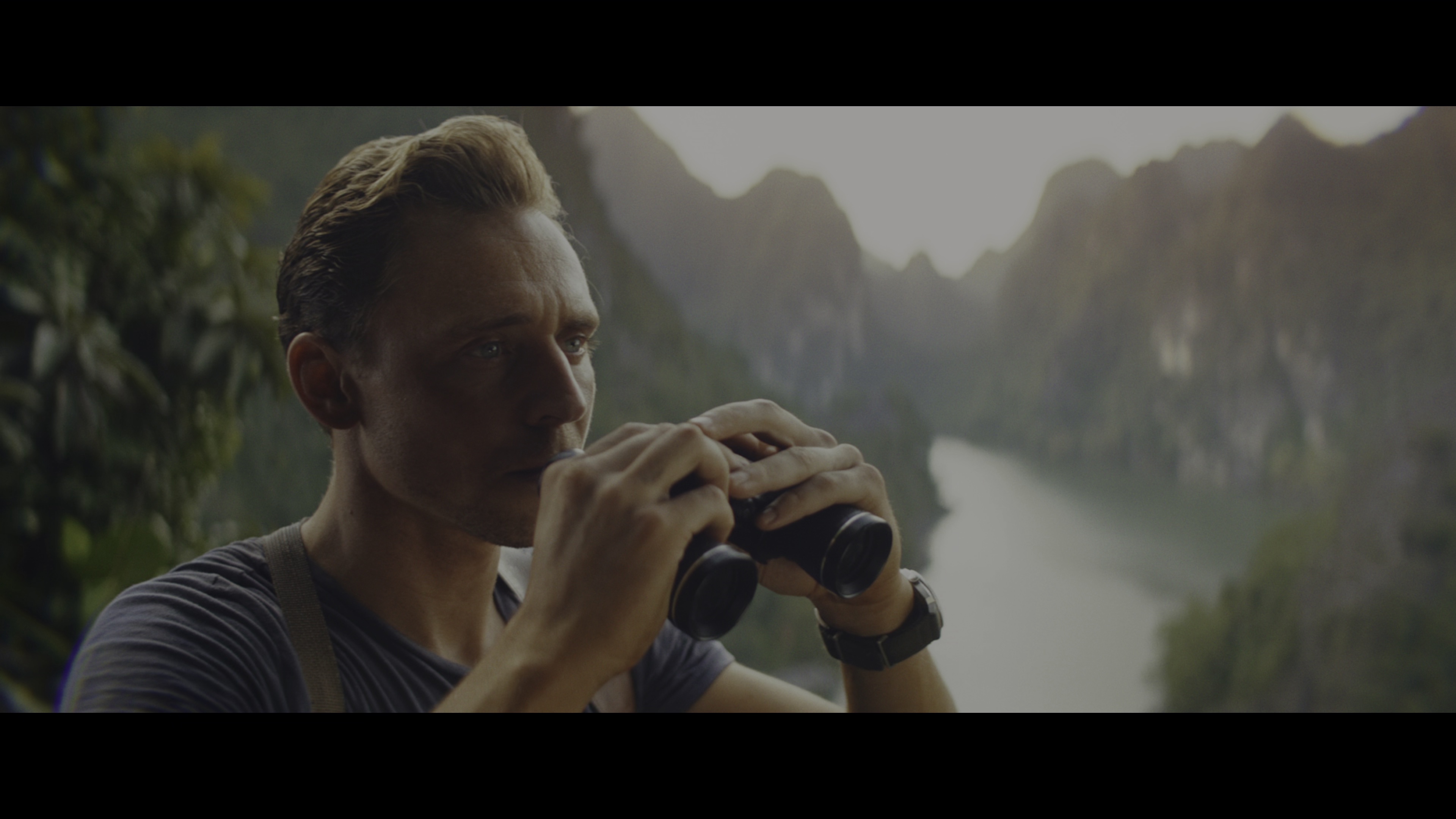 金刚：骷髅岛 [国英多音轨/特效中文字幕].Kong.Skull.Island.2017.2160p.UHD.BluRay.REMUX.HEVC.HDR.TrueHD7.1-DreamHD 48.88GB-3.png