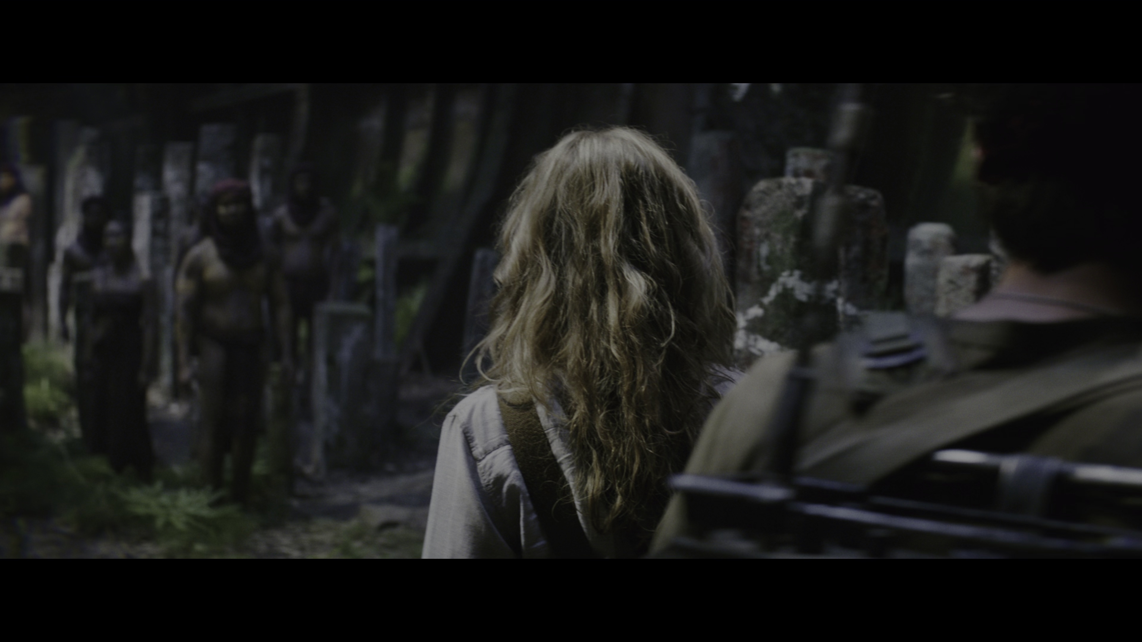 金刚：骷髅岛 [国英多音轨/特效中文字幕].Kong.Skull.Island.2017.2160p.UHD.BluRay.REMUX.HEVC.HDR.TrueHD7.1-DreamHD 48.88GB-4.png