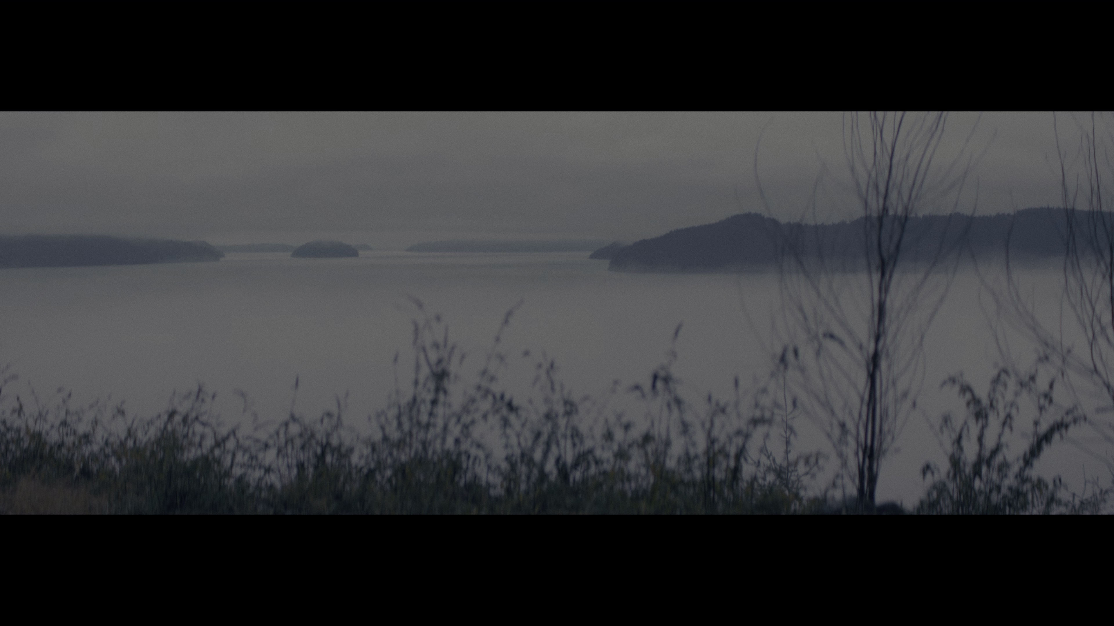 紧锁 [简繁英字幕].Locked.In.Trappola.2025.UHD.BluRay.2160p.REMUX.HEVC.HDR.DTS-HDMA5.1-DreamHD 44.77GB-7.png