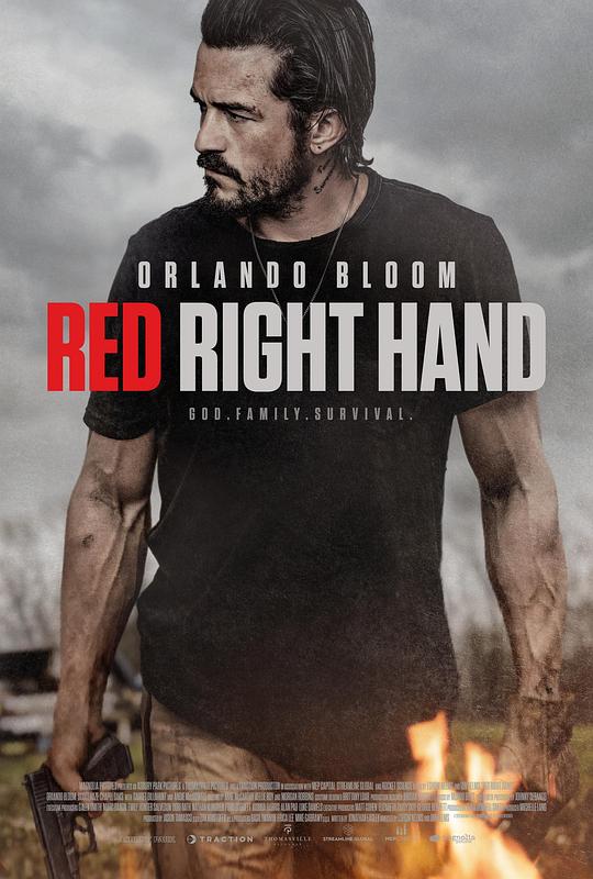 红右手 [简繁英字幕].Red.Right.Hand.2024.BluRay.1080p.REMUX.AVC.DTS-HDMA5.1-DreamHD 28.50GB-1.png