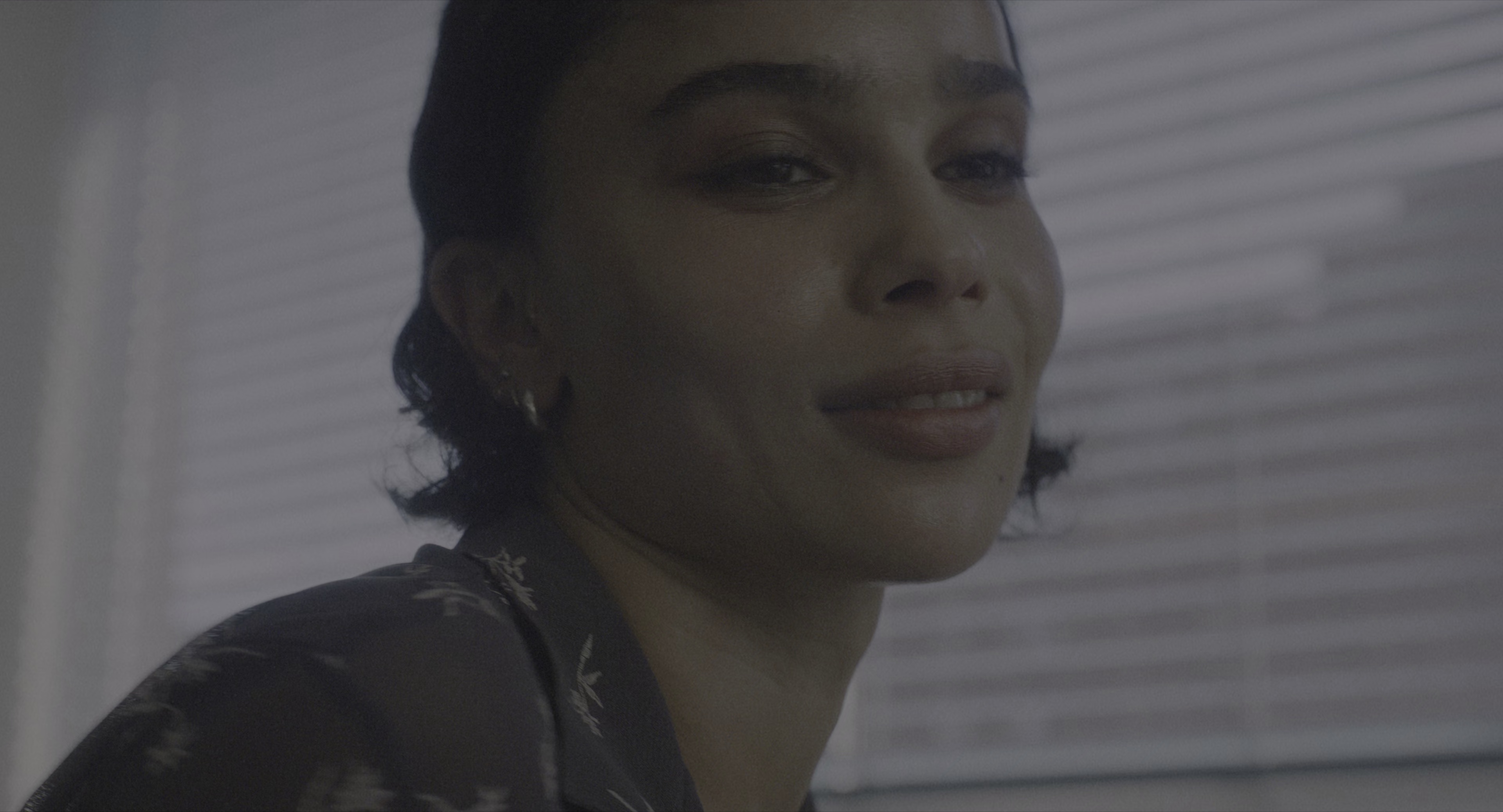 偷天盗日 [HDR/杜比视界双版本][简繁英字幕].Caught.Stealing.2025.2160p.UHD.BluRay.DV.x265.10bit.TrueHD.7.1-ParkHD 21.14GB-2.png