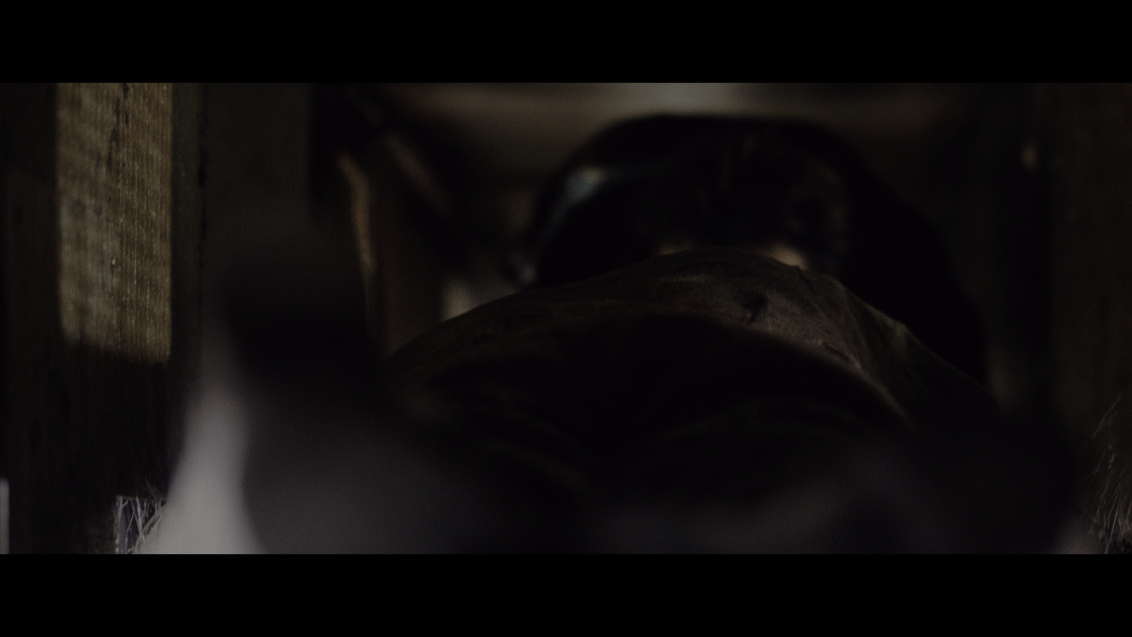 幻影凶间 [HDR/杜比视界双版本][简繁英字幕].1408.2007.Bluray.2160p.TrueHD5.1.DoVi.HDR.x265.10bit-DreamHD 28.29GB-5.png