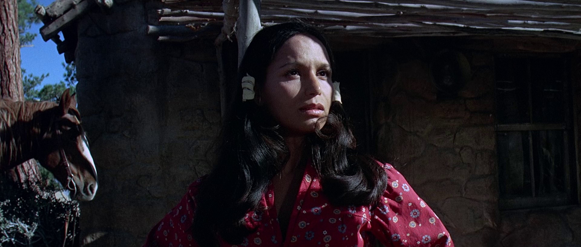 独行神枪侠 [中文字幕].Joe.Kidd.1972.Bluray.1080p.AAC2.0.x264-DreamHD 2.57GB-4.png