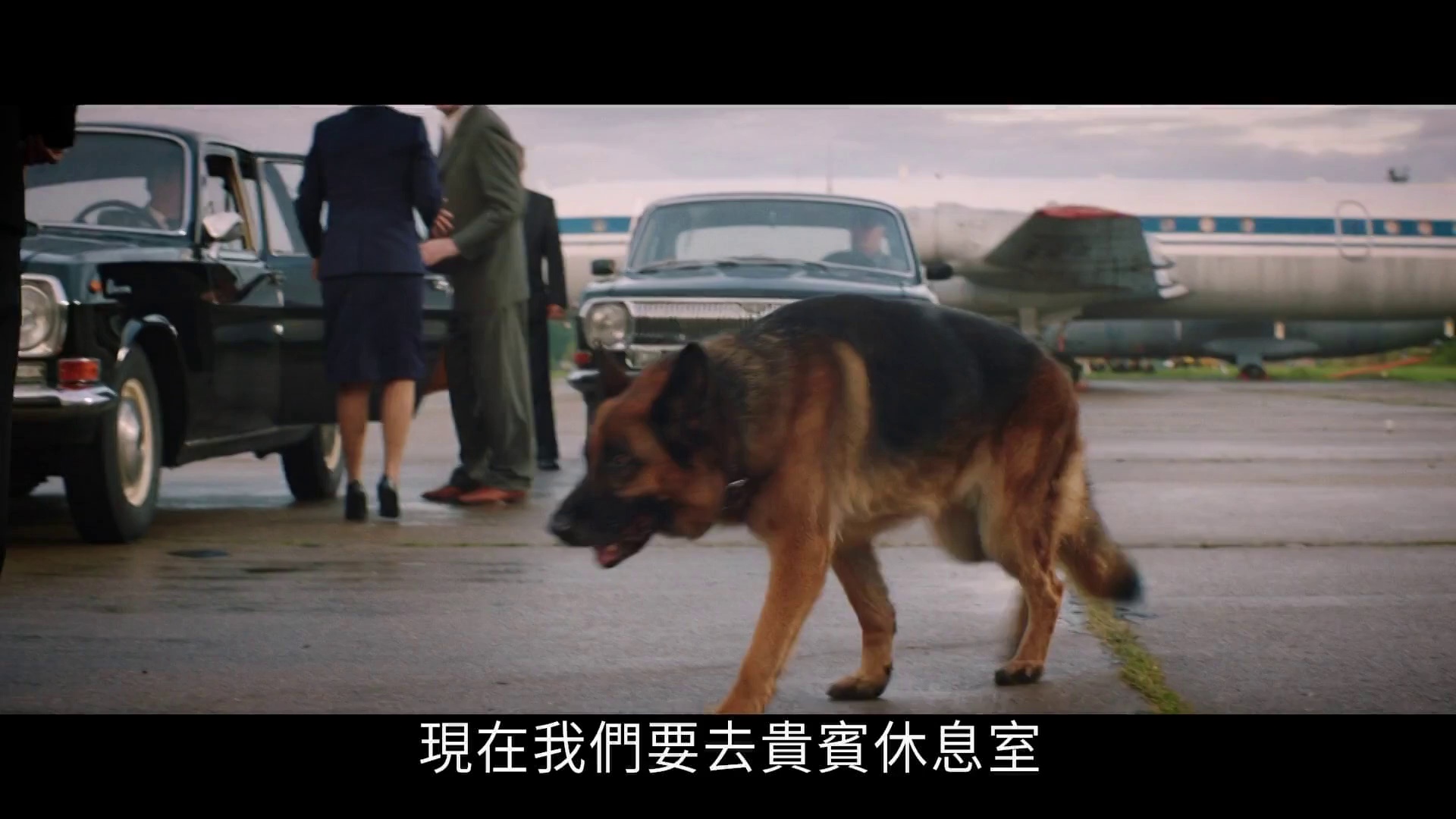 忠犬帕尔玛 [中文字幕].Palma.2021.1080p.HamiVideo.WEB-DL.DD5.1.H.264-DreamHD 6.24GB-1.png