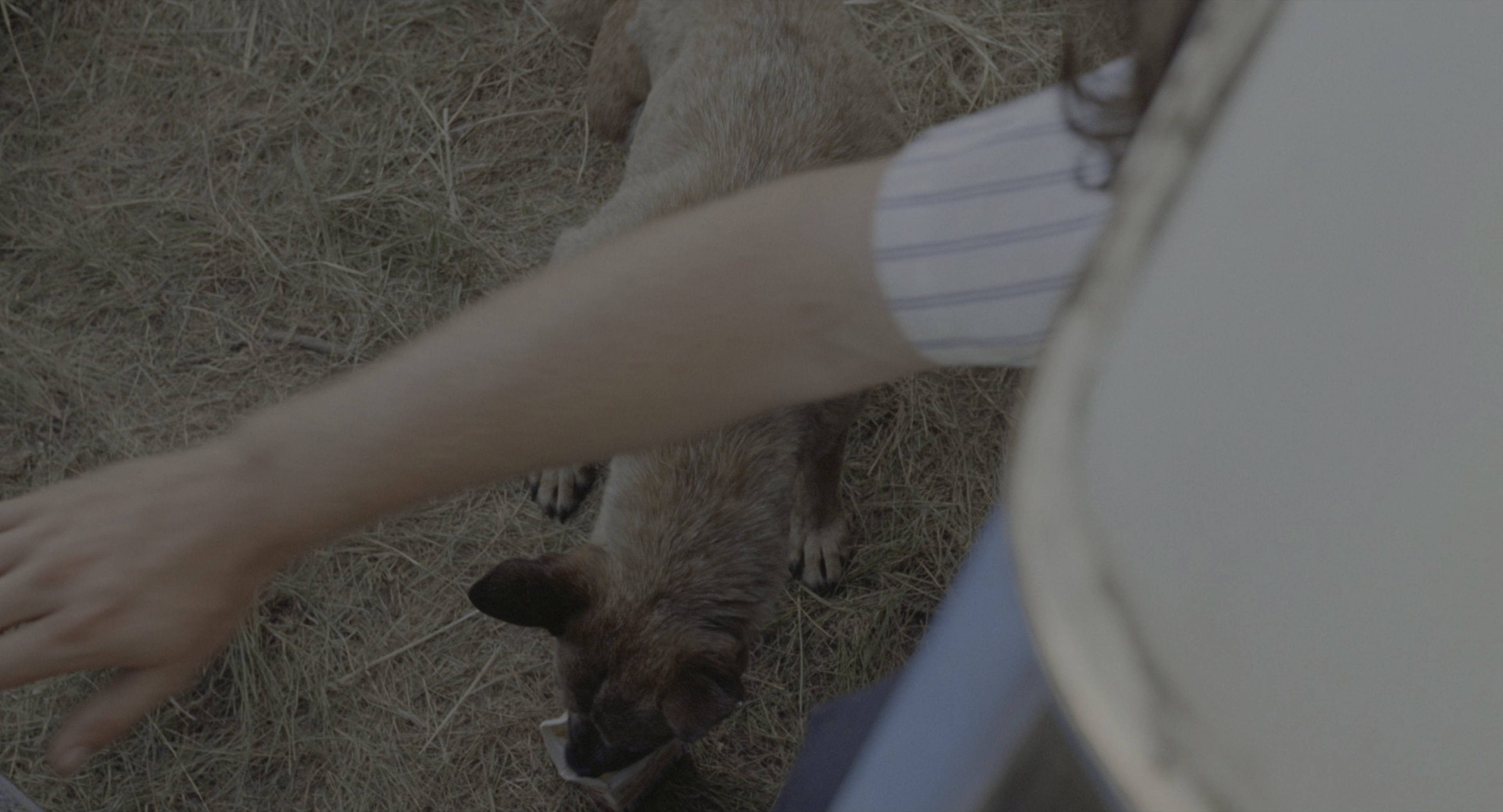 雷霆之心 [HDR/杜比视界双版本][简繁英字幕].Thunderheart.1992.2160p.UHD.BluRay.DV.x265.10bit.DTS-HD.MA.5.1-ParkHD 22.48GB-3.png