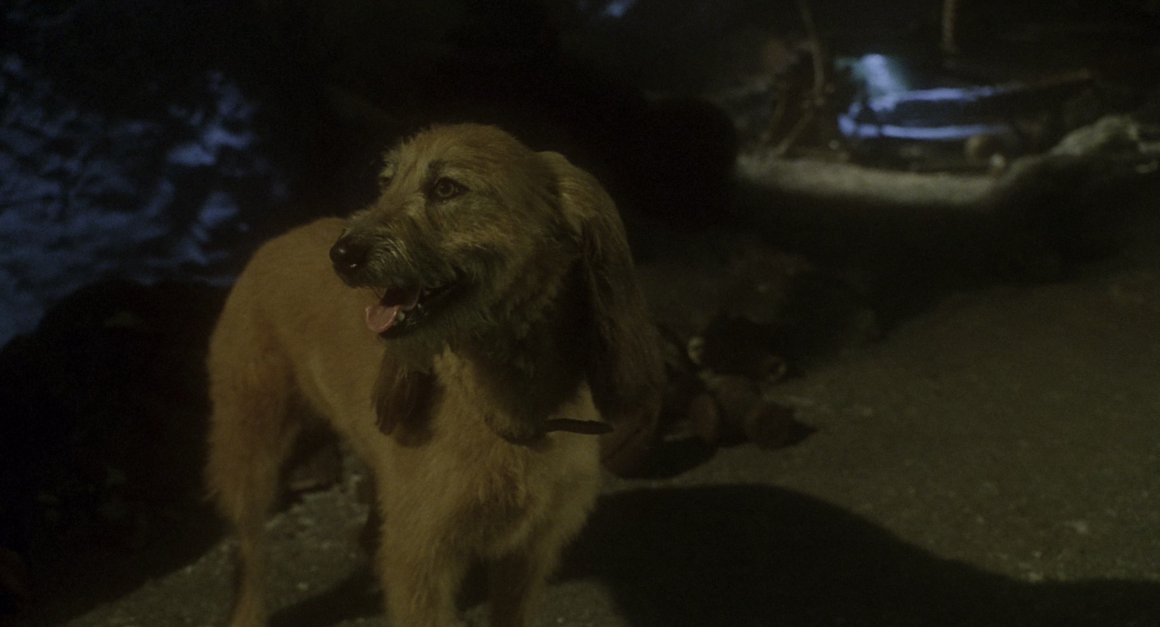 圣诞怪杰 [HDR/杜比视界双版本][简繁英字幕].2000.2160p.UHD.BluRay.DV.x265.10bit.TrueHD.7.1.Atmos-ParkHD 20.08GB-4.png