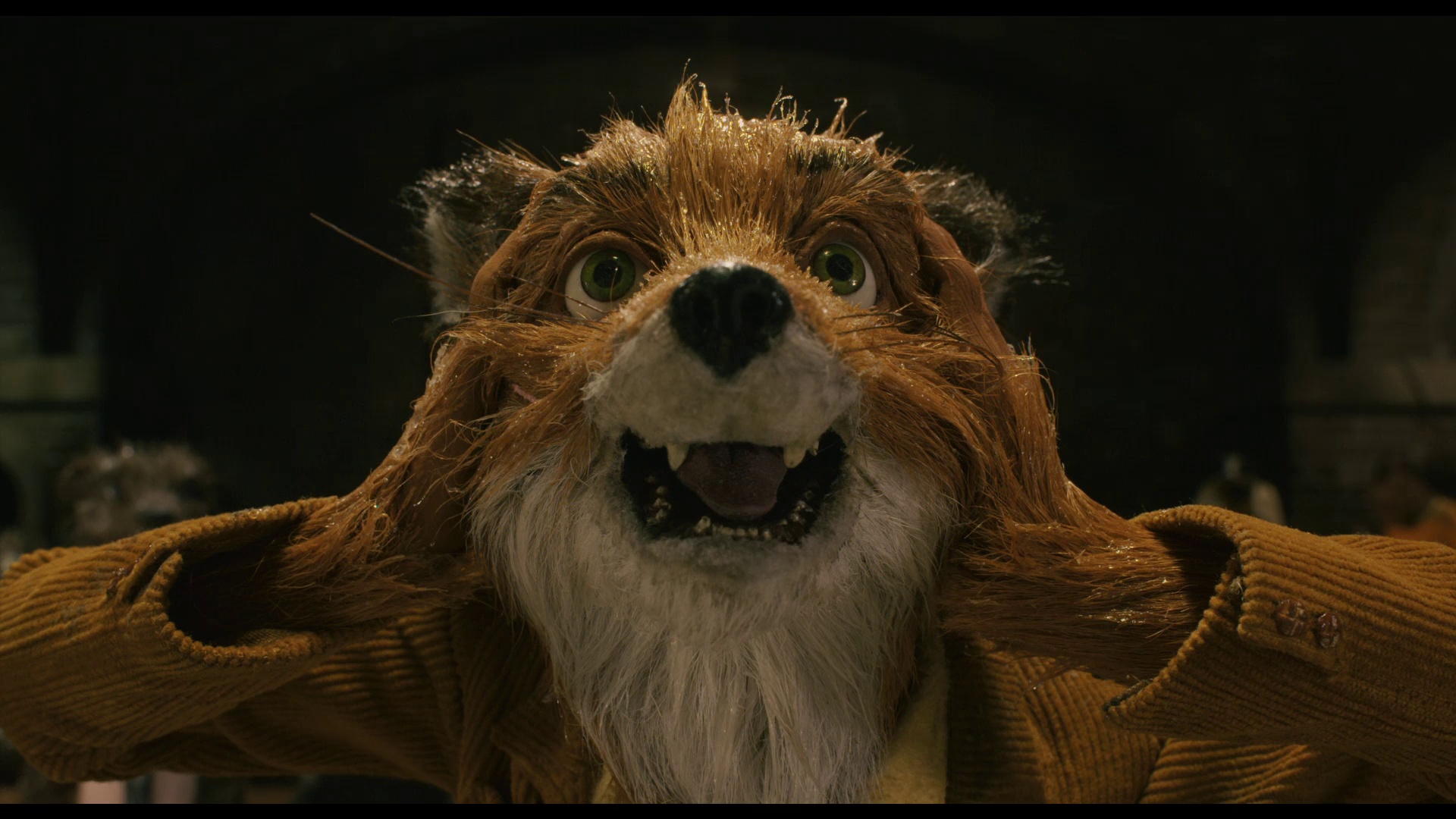 了不起的狐狸爸爸 [国英多音轨/中文字幕].Fantastic.Mr.Fox.2009.BluRay.1080p.AAC.x264-DreamHD 2.68GB-5.png