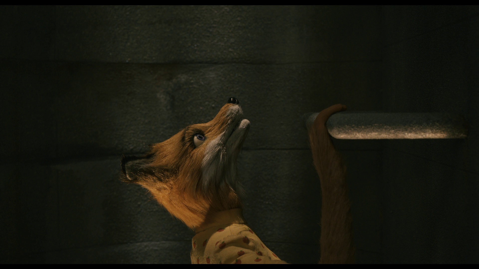 了不起的狐狸爸爸 [国英多音轨/简繁英字幕].Fantastic.Mr.Fox.2009.BluRay.1080p.DTS-HD.MA.5.1.x264-DreamHD 9.32GB-7.png