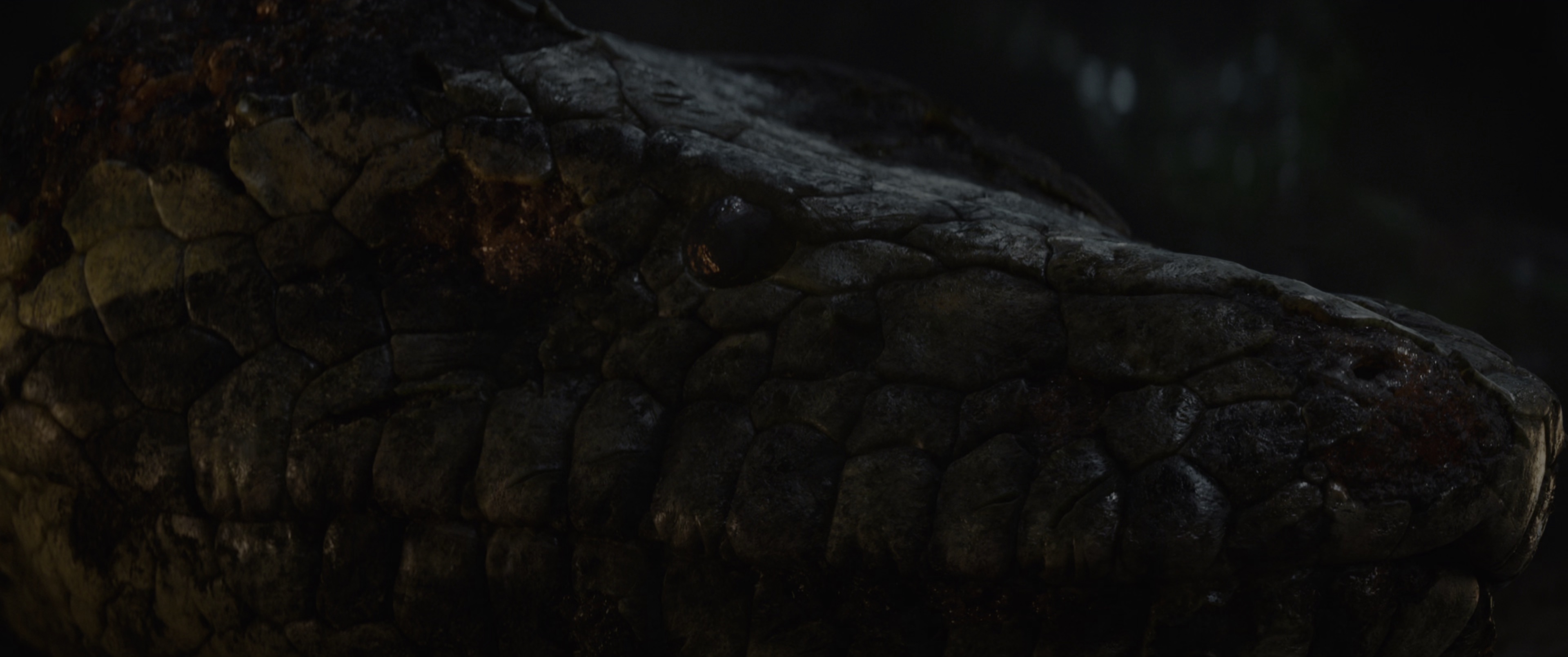 新狂蟒之灾 [简繁英字幕].Anaconda.2025.2160p.iTunes.WEB-DL.DDP.5.1.Atmos.HDR10/.H.265-DreamHD 17.31GB-7.png