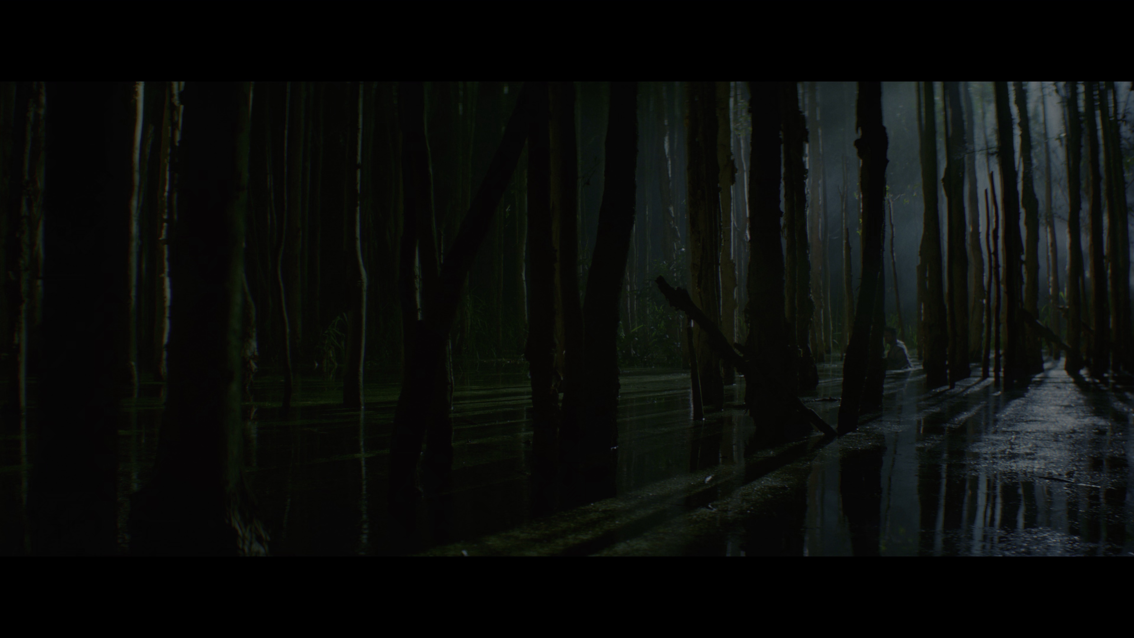 新狂蟒之灾 [简繁英字幕].Anaconda.2025.2160p.MA.WEB-DL.H265.DDP5.1.Atmos-QuickIO 17.58GB-4.png