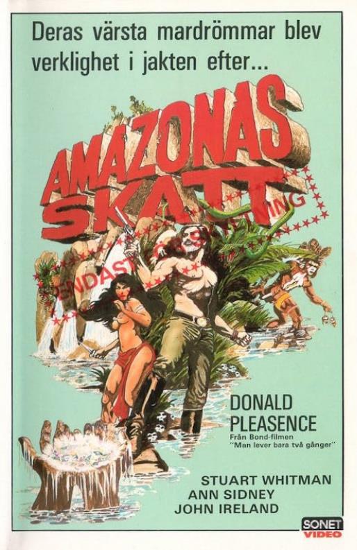 亚马逊探宝 [中文字幕].Treasure.of.the.Amazon.1985.1080p.Bluray.DD.2.0.x264-DreamHD 7.99GB-1.png