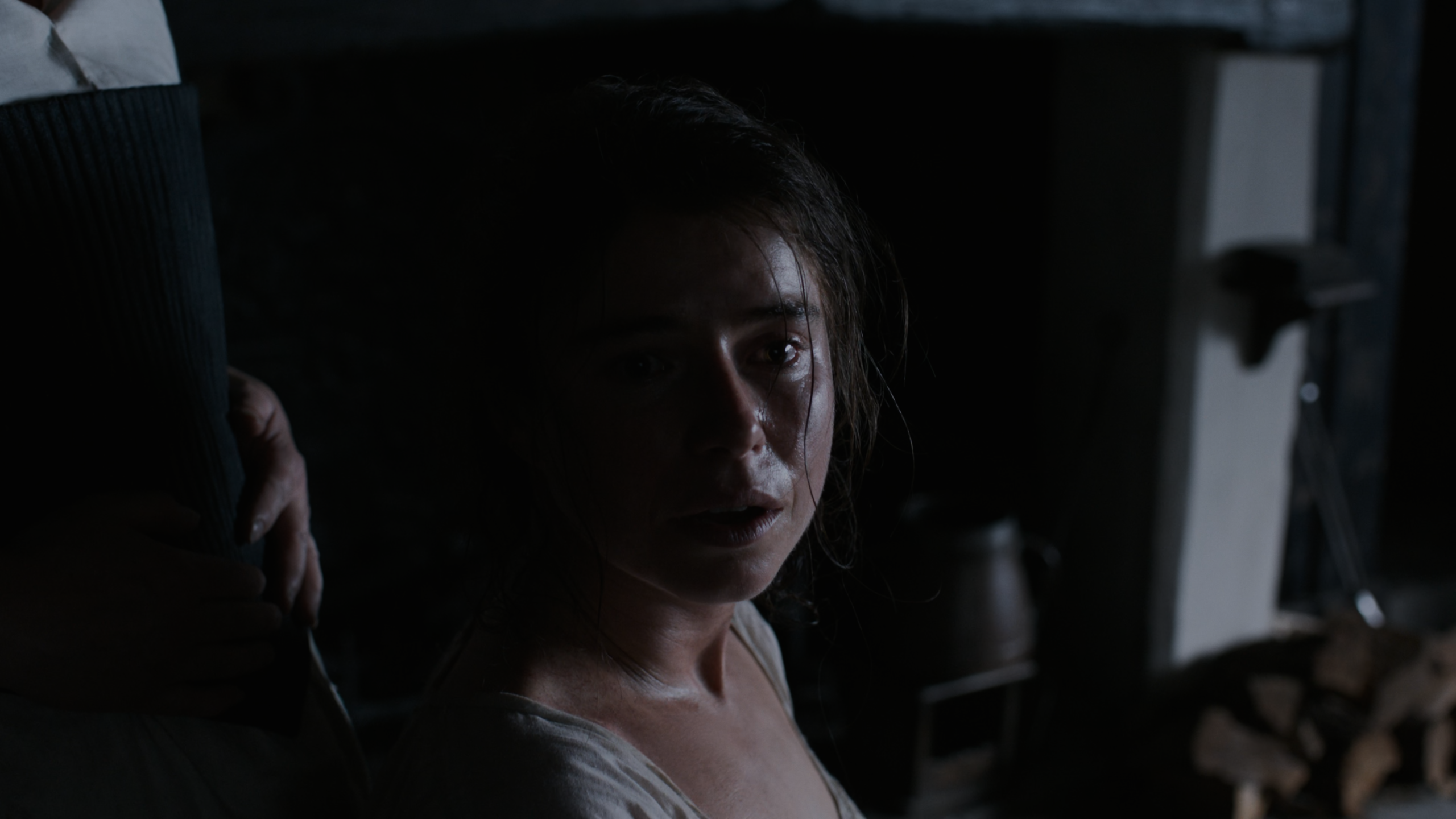 哈姆奈特 [HDR+杜比视界双版本][英文字幕].Hamnet.2025.Hybrid.2160p.iT.WEB-DL.DDP5.1.Atmos.DoVi.HDR.H.265-HONE 22.10GB-3.png