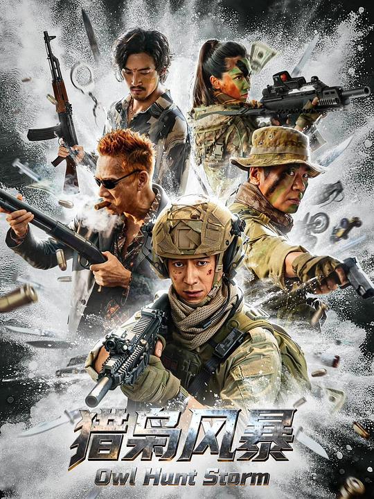 猎枭风暴 [国语配音/中文字幕].Owl.Hunt.Storm.2026.1080p.WEB-DL.H264.AAC-QuickIO 1.37GB-1.png