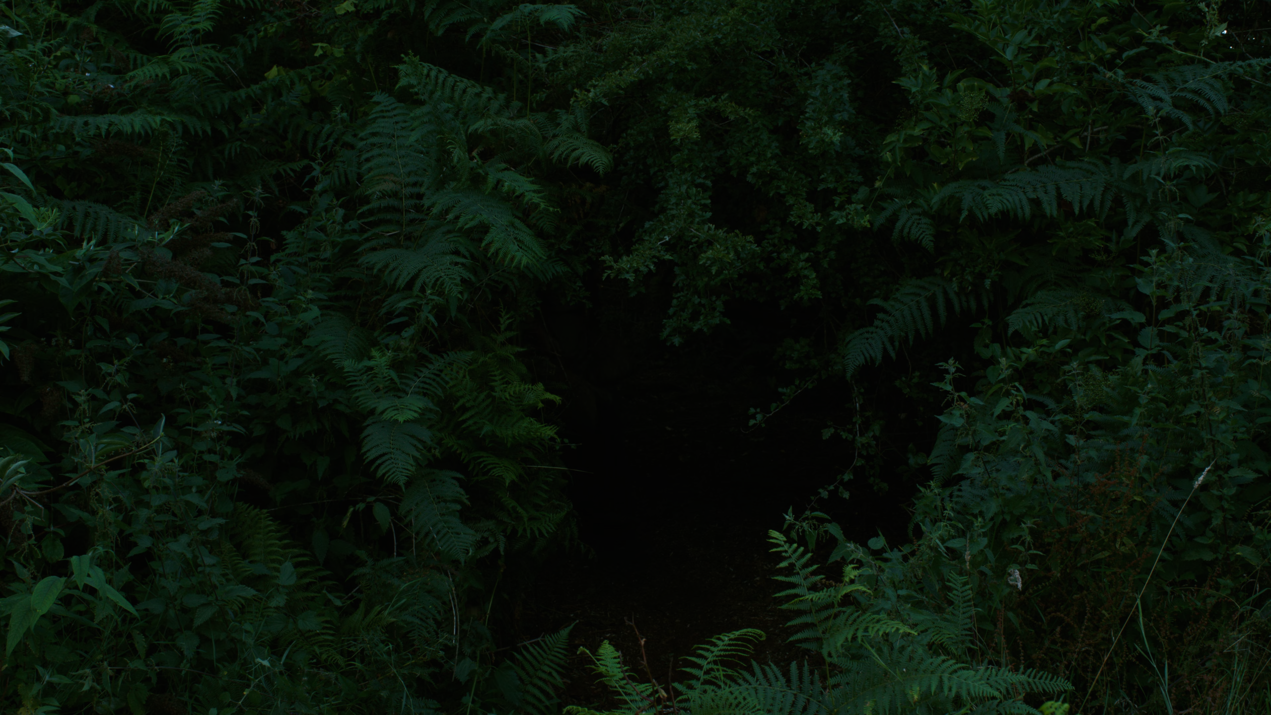 哈姆奈特 [英文字幕].Hamnet.2025.2160p.MA.WEB-DL.DDP5.1.Atmos.H.265-HONE 21.81GB-3.png