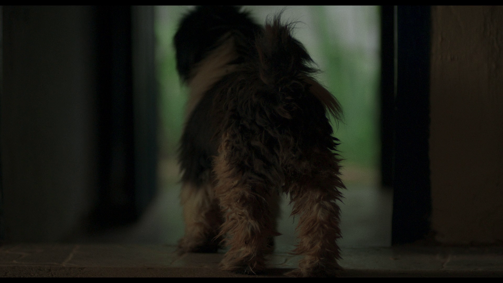 无形的本质 [葡语字幕].The.Nature.of.Invisible.Things.2025.1080p.NF.WEB-DL.DDP5.1.H.264-BiOMA 5.13GB-4.png