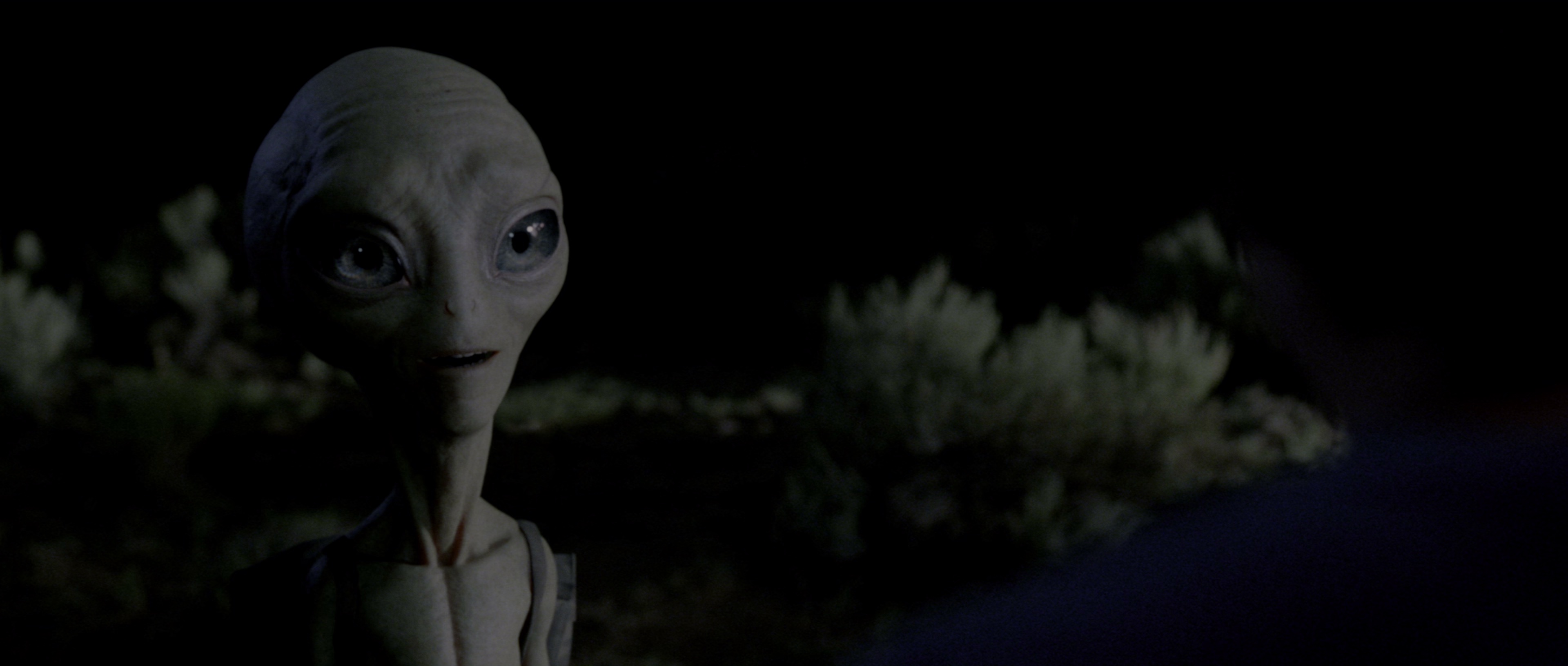 保罗 [HDR/杜比视界双版本][简繁英字幕].Paul.2011.2160p.UHD.BluRay.DV.x265.10bit.DTS-HD.MA.5.1-ParkHD 19.78GB-2.png