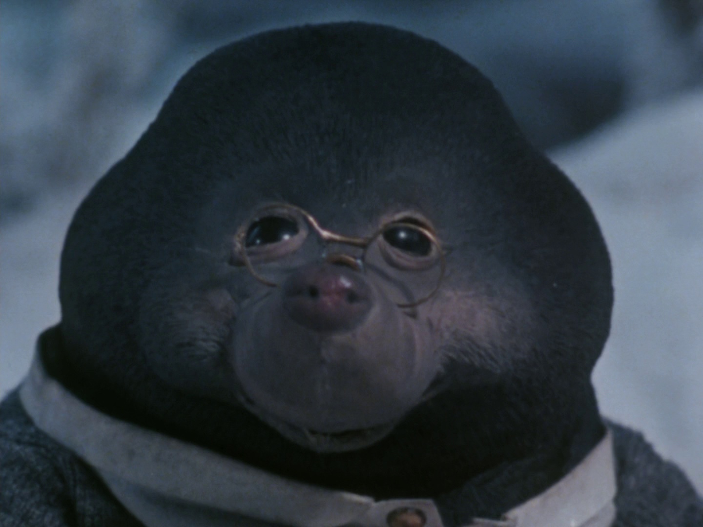 柳林风声 [简繁英字幕].The.Wind.in.the.Willows.1983.1080p.BluRay.x264.FLAC.2.0-QuickIO 6.33GB-5.png