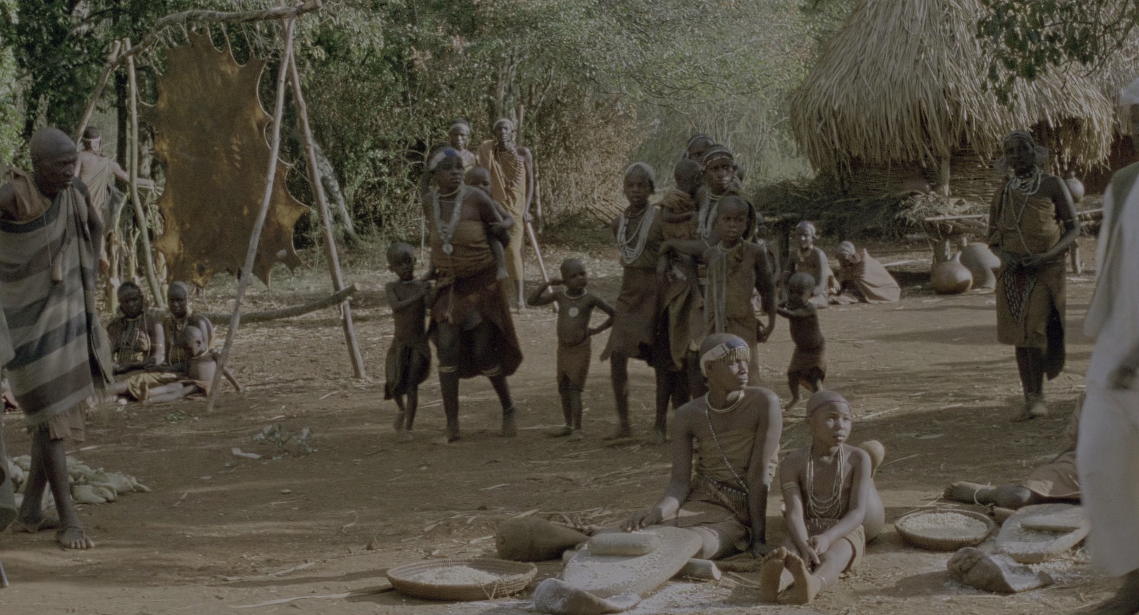 走出非洲 [HDR/杜比视界双版本][国英多音轨/简繁英字幕].1985.2160p.UHD.BluRay.DV.x265.10bit.TrueHD.7.1-ParkHD 40.33GB-2.png