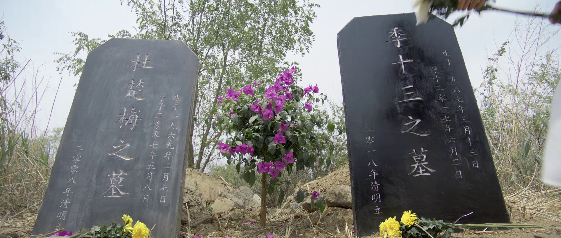 青爱 [国语配音/中文字幕].Love.Youth.2025.2160p.WEB-DL.H265.DDP2.0-QuickIO 2.65GB-7.png