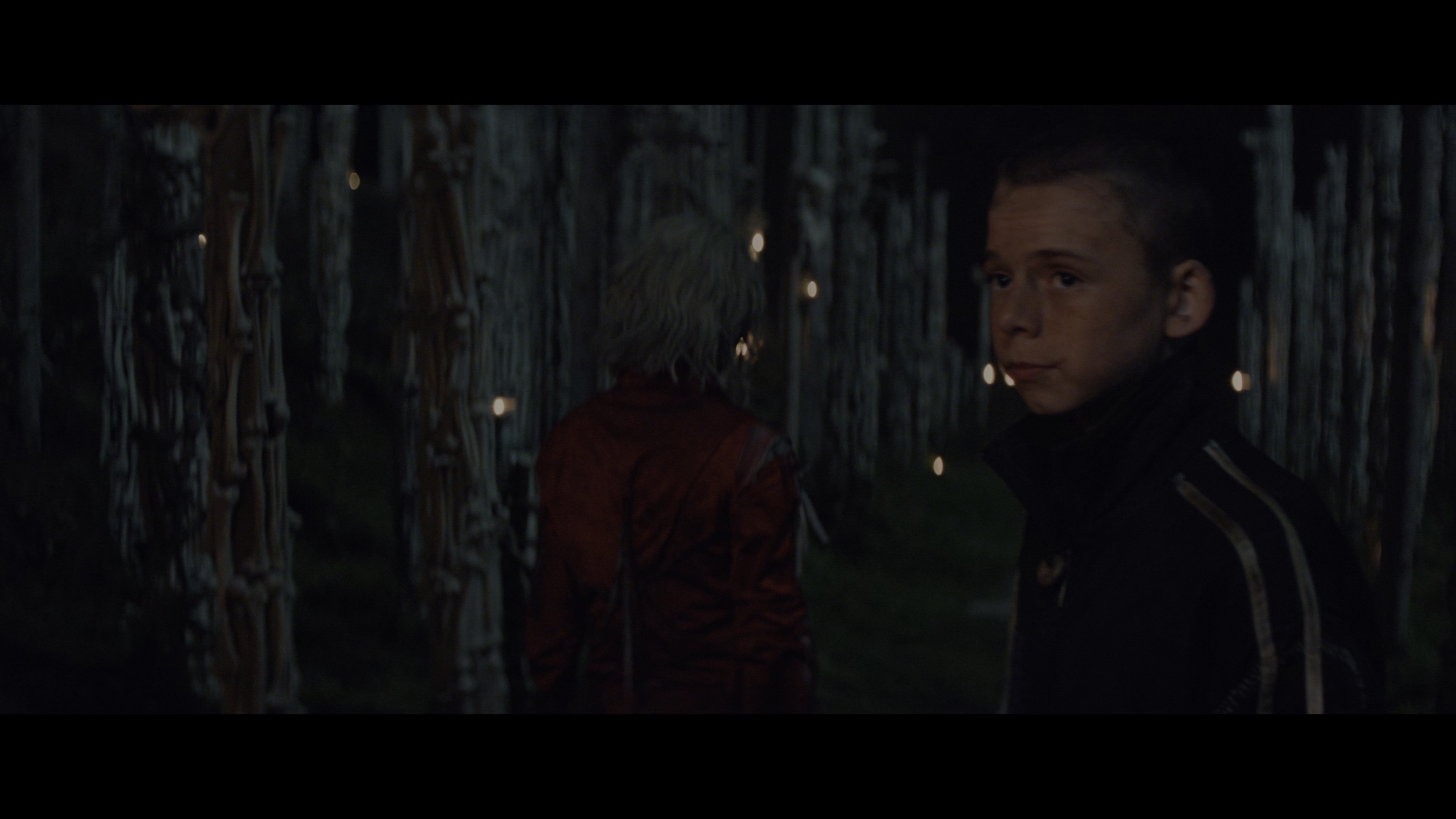 惊变28年2：白骨圣殿 [简繁英字幕].28.Years.Later.The.Bone.Temple.2026.2160p.MA.WEB-DL.H265.DDP5.1.Atmos-QuickIO 19.34GB-7.png